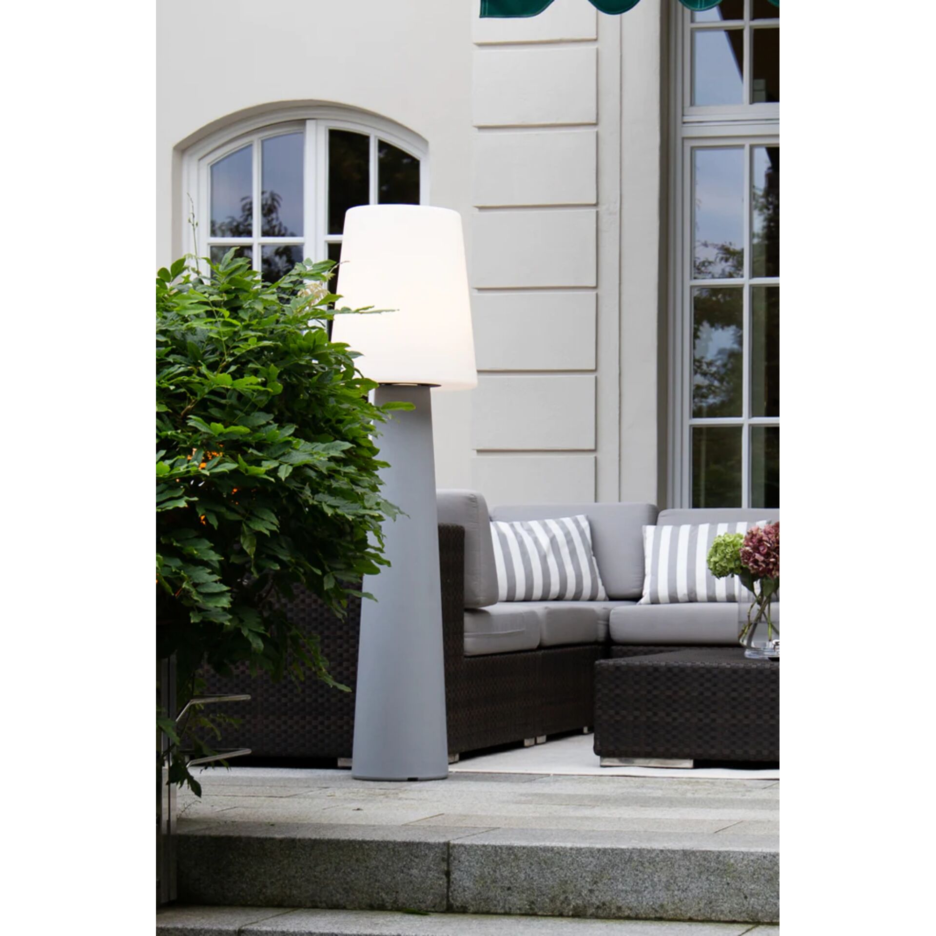 Lampe, Pflanze, Pflanze im Topf