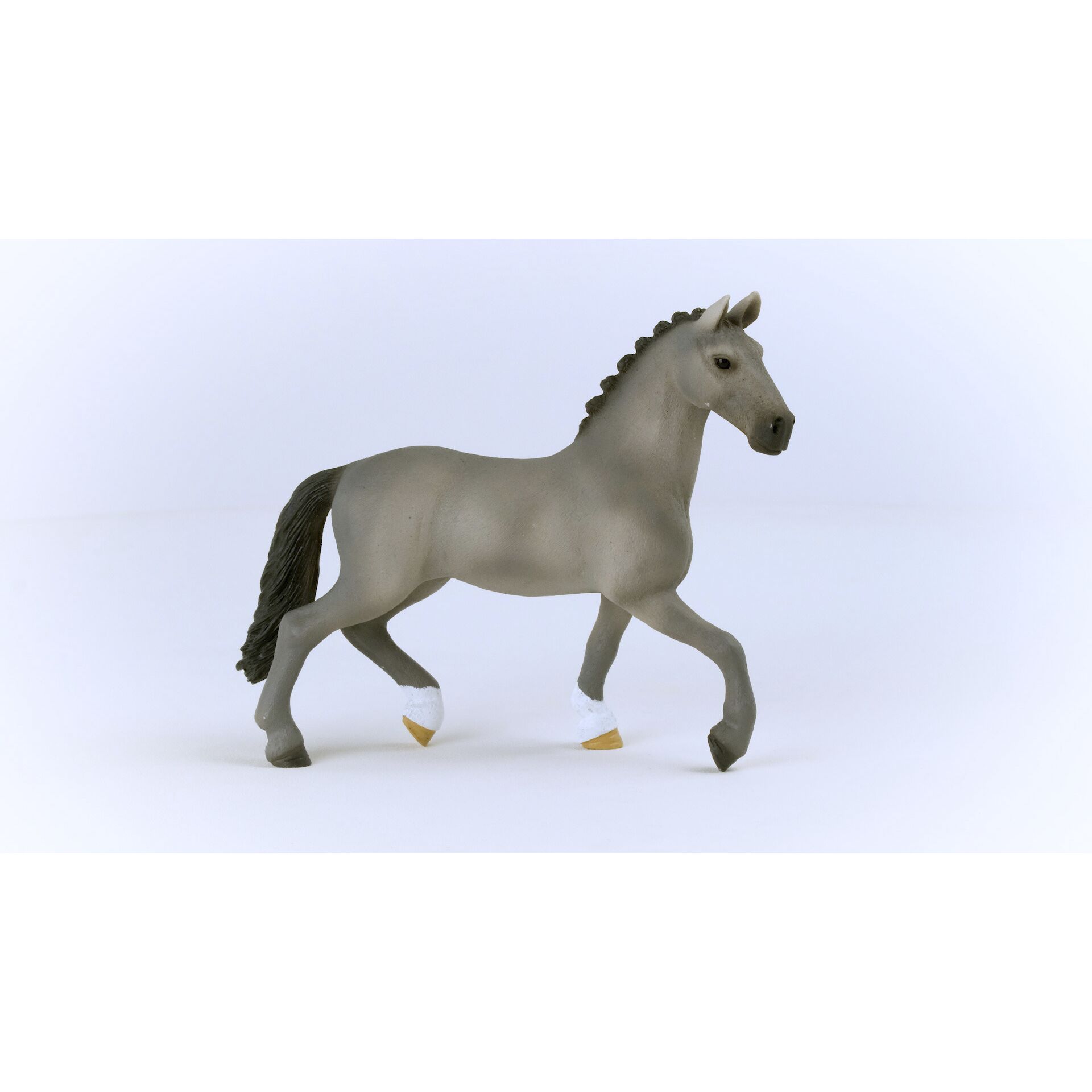 Tier, Pferd, Säugetier, Colt Horse