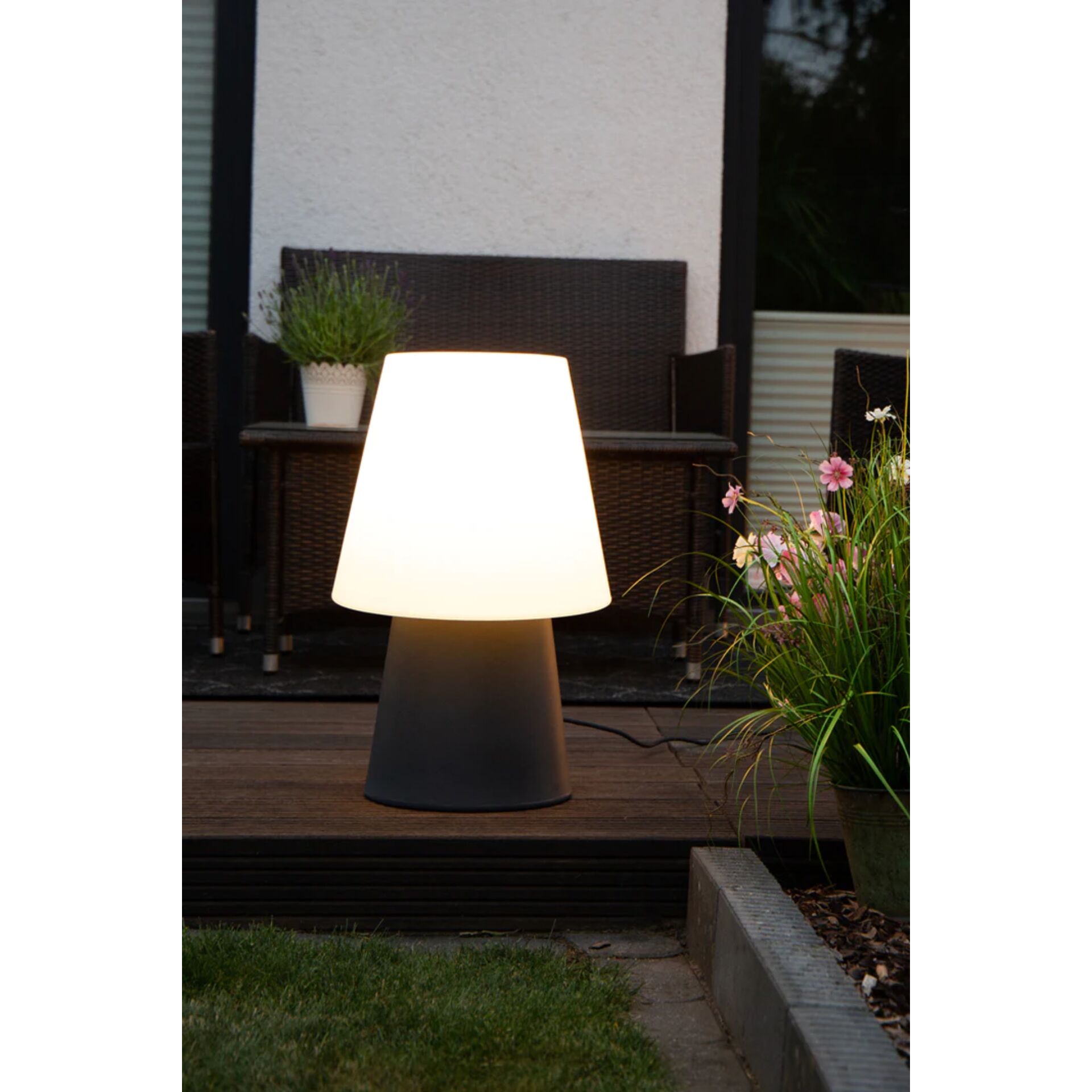 Lampe, Lampenschirm, Pflanze