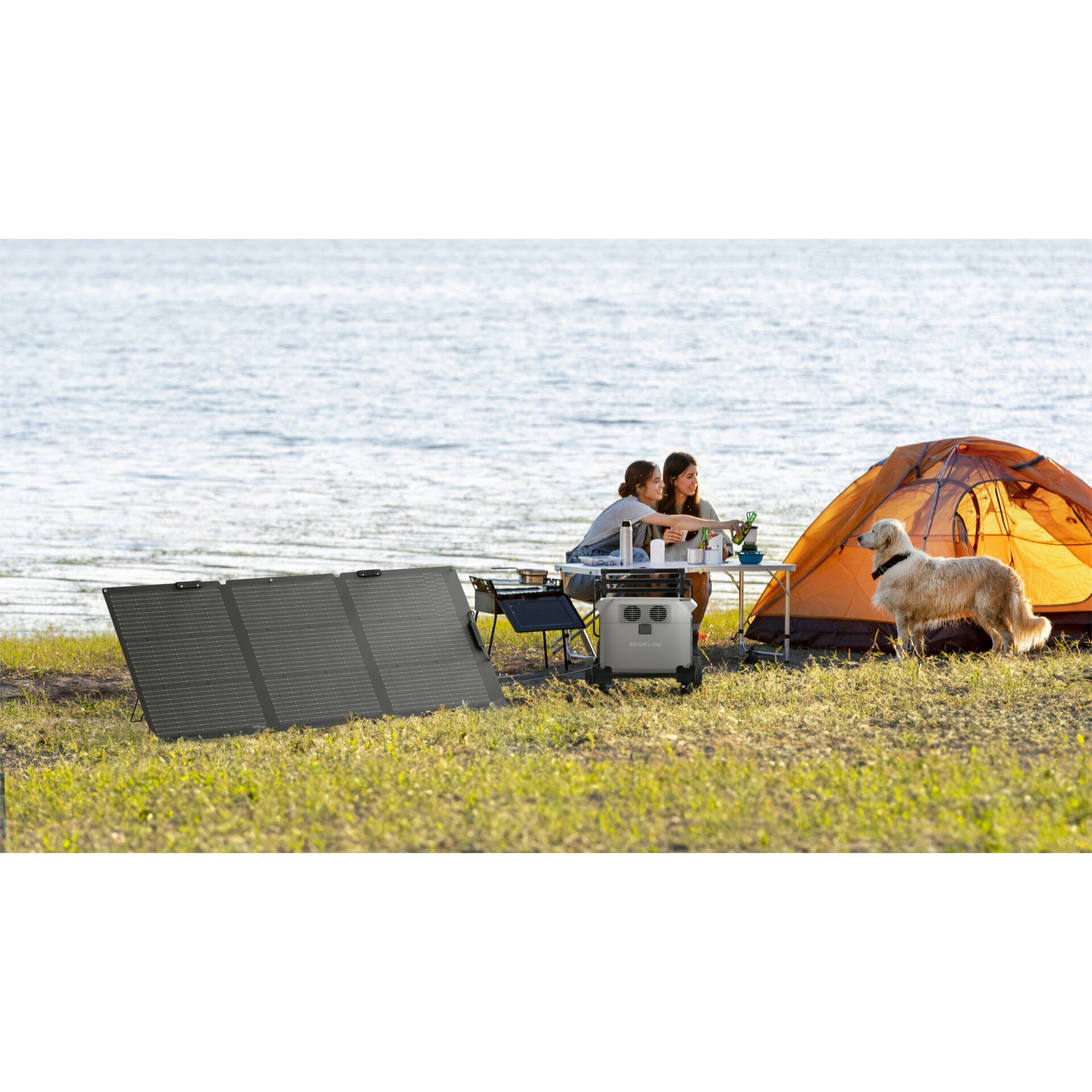 Draußen, Unterschlupf, Zelt, Campen, Hund