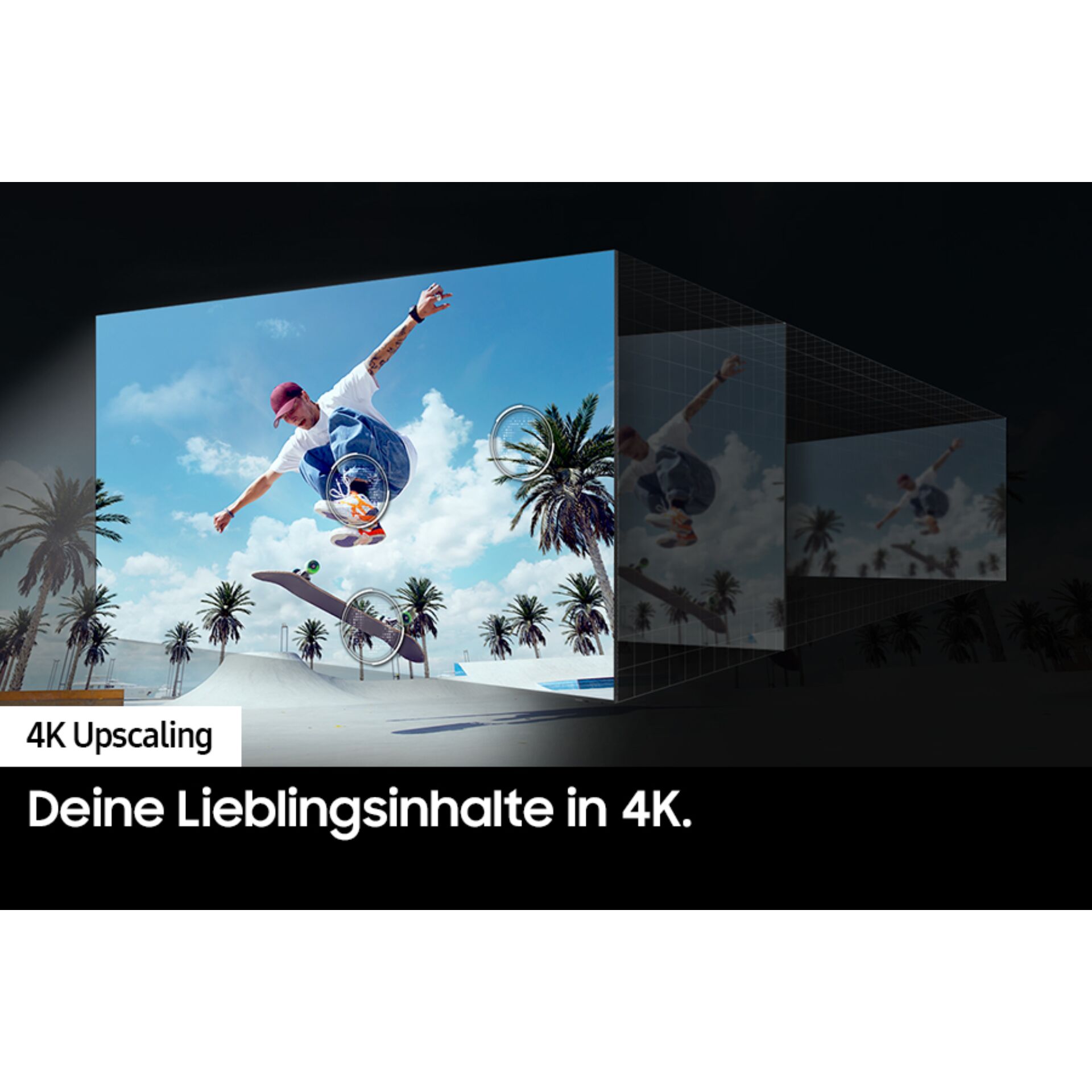 Palme, Baum, Sommer, Werbung, Person