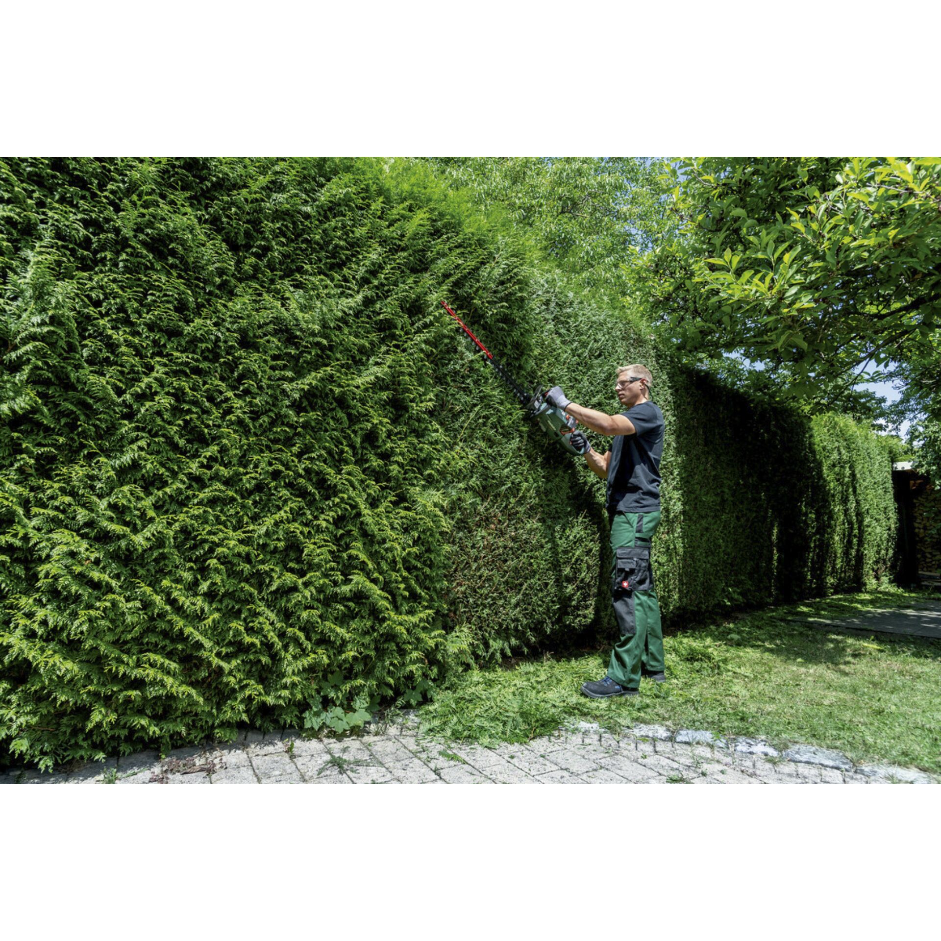 Hecke, Garten, Erwachsener, Mann, Person