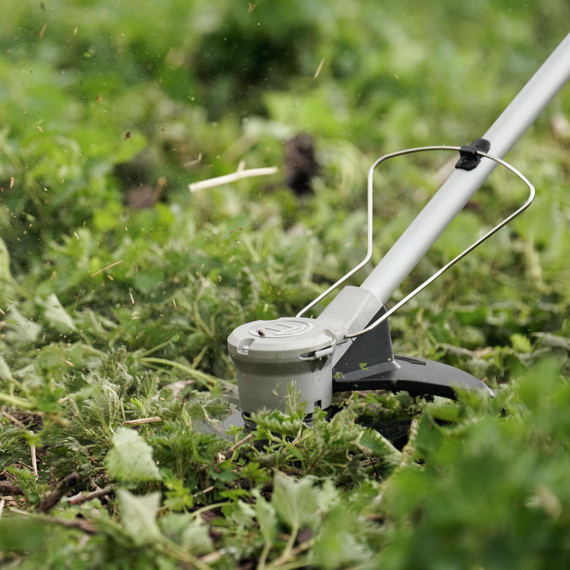 Gras, Rasen, Pflanze, Gerät