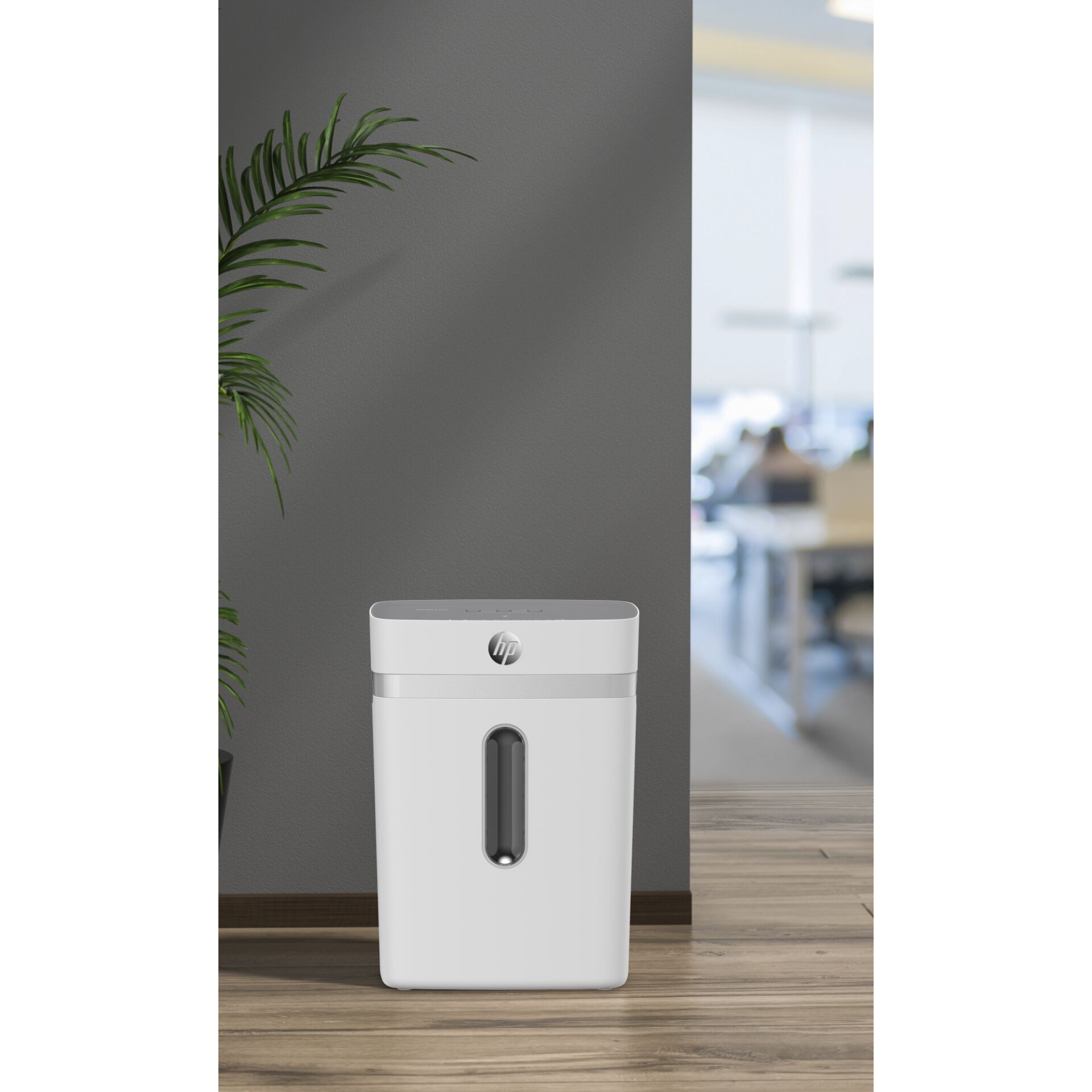 Pflanze, Pflanze im Topf