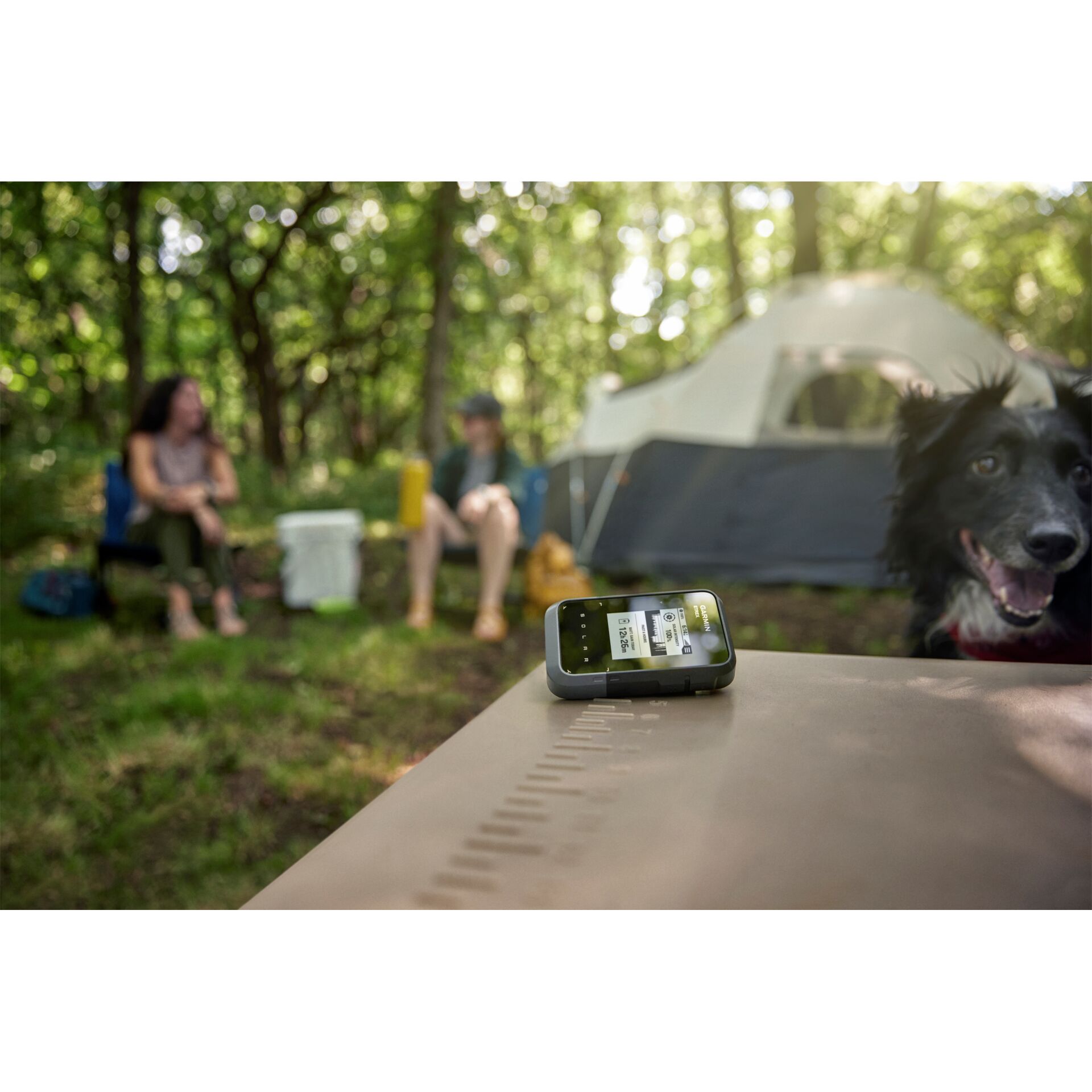Tierheim, Gras, Photographie, Vegetation, Park