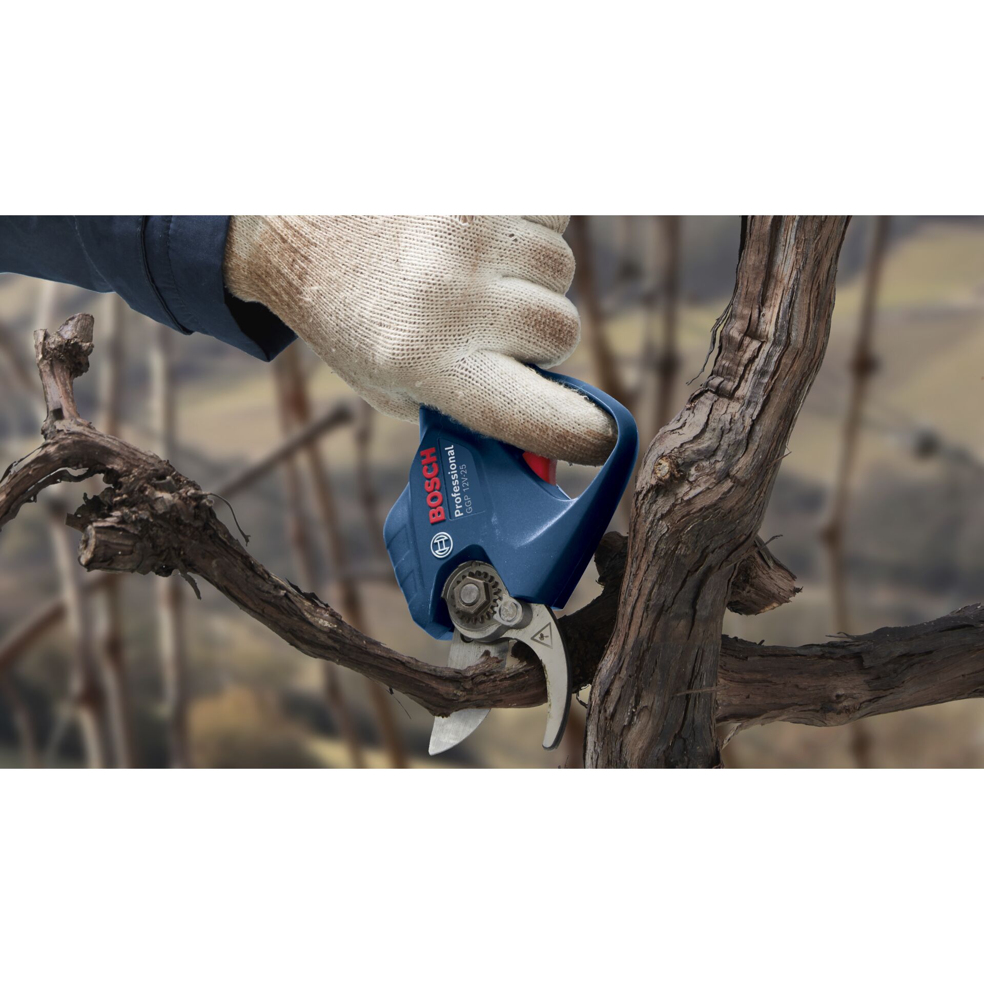 Drinnen, Innenarchitektur, Kleidung, Handschuh