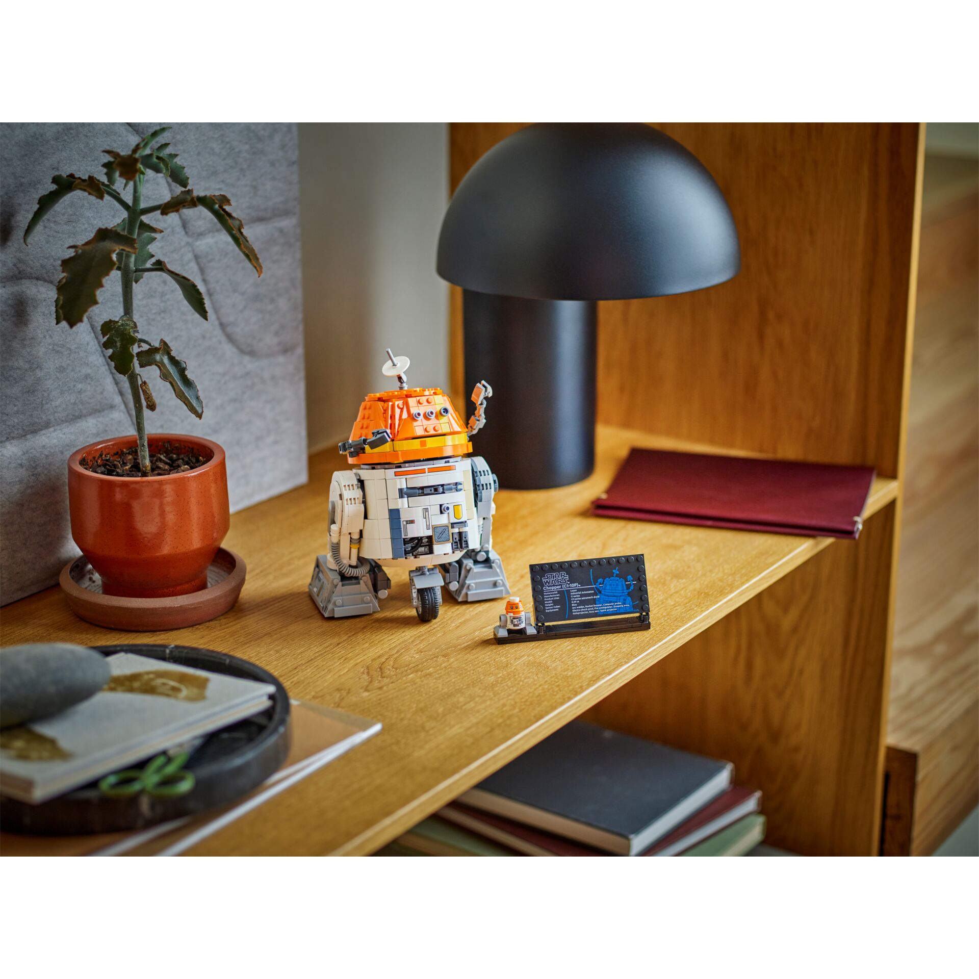 Innenarchitektur, Lampe, Pflanze, Tischlampe, Sperrholz