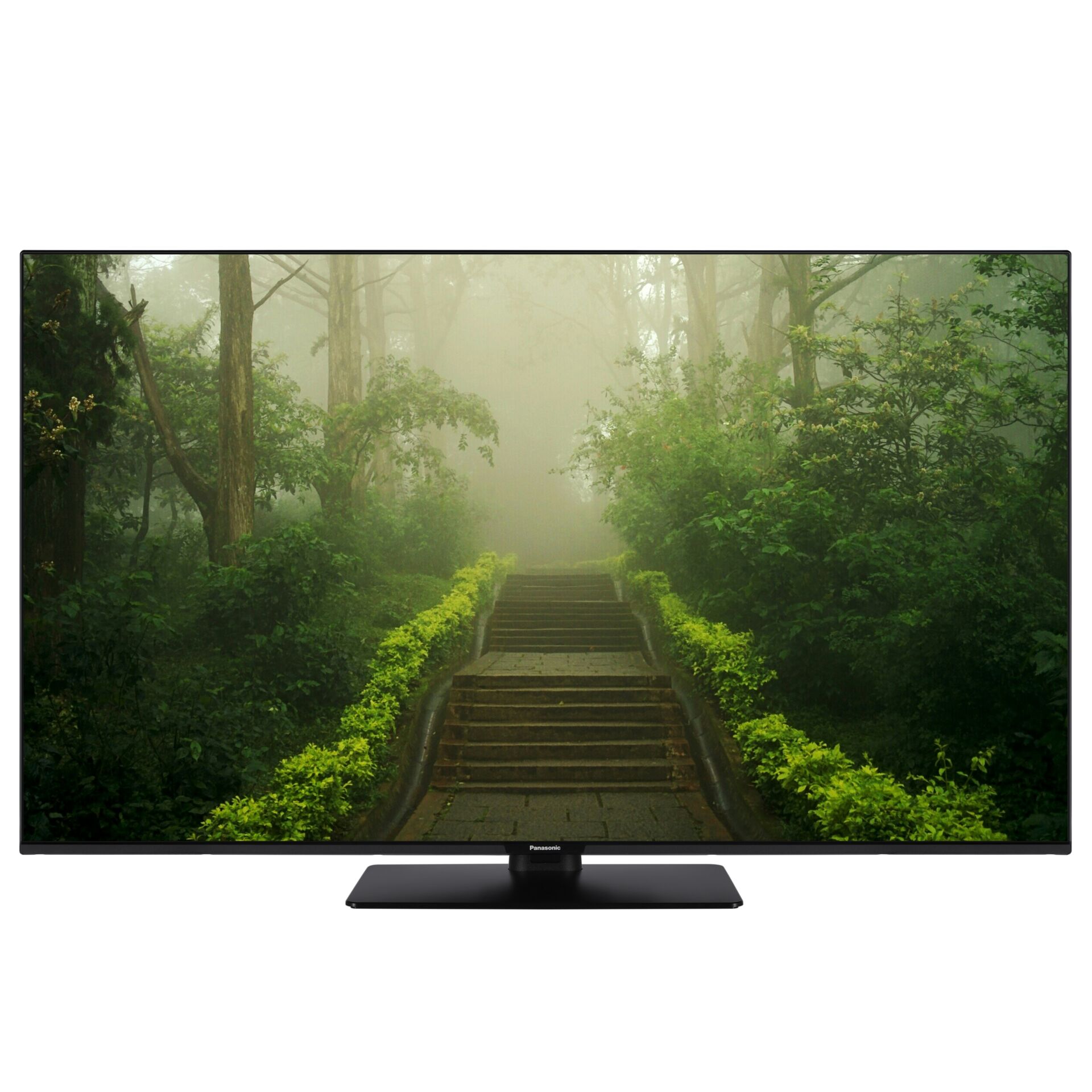 Panasonic TB-55W60AEZ schwarz Computerausrüstung, Überwachen, Bildschirm, Regenwald