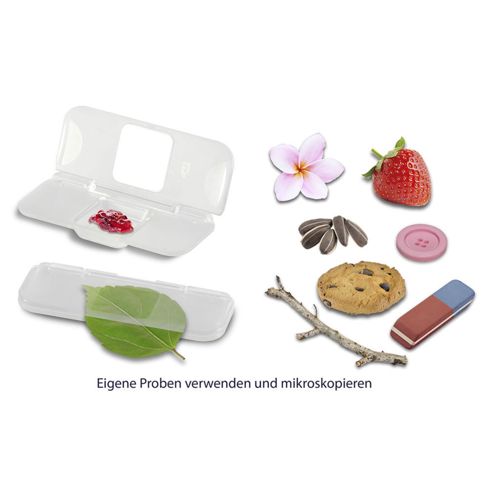 Mittagessen, Mahlzeit, Blatt, Kräuter, Beere