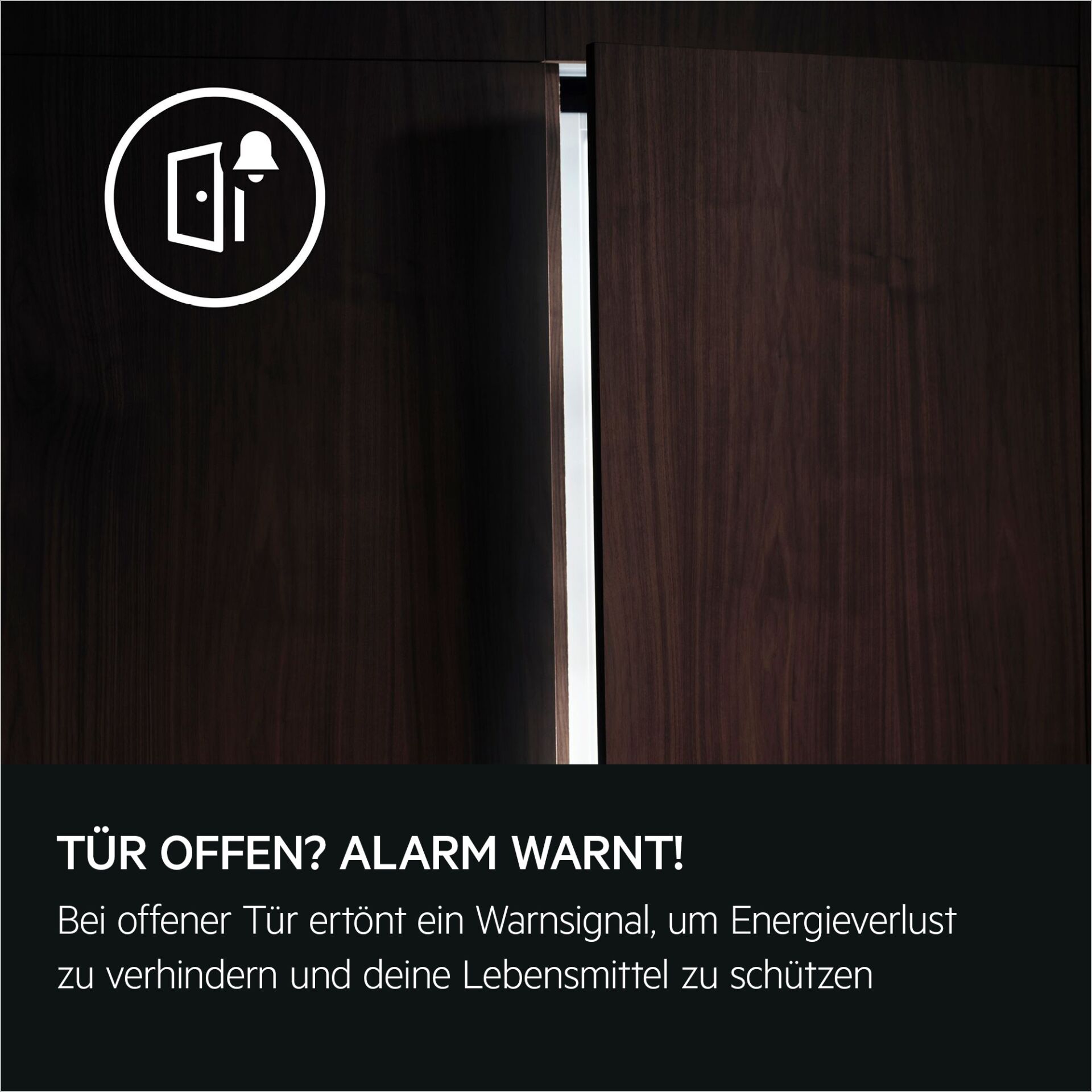 Tür, Innenarchitektur, Schiebetür, Holz, Kabinett