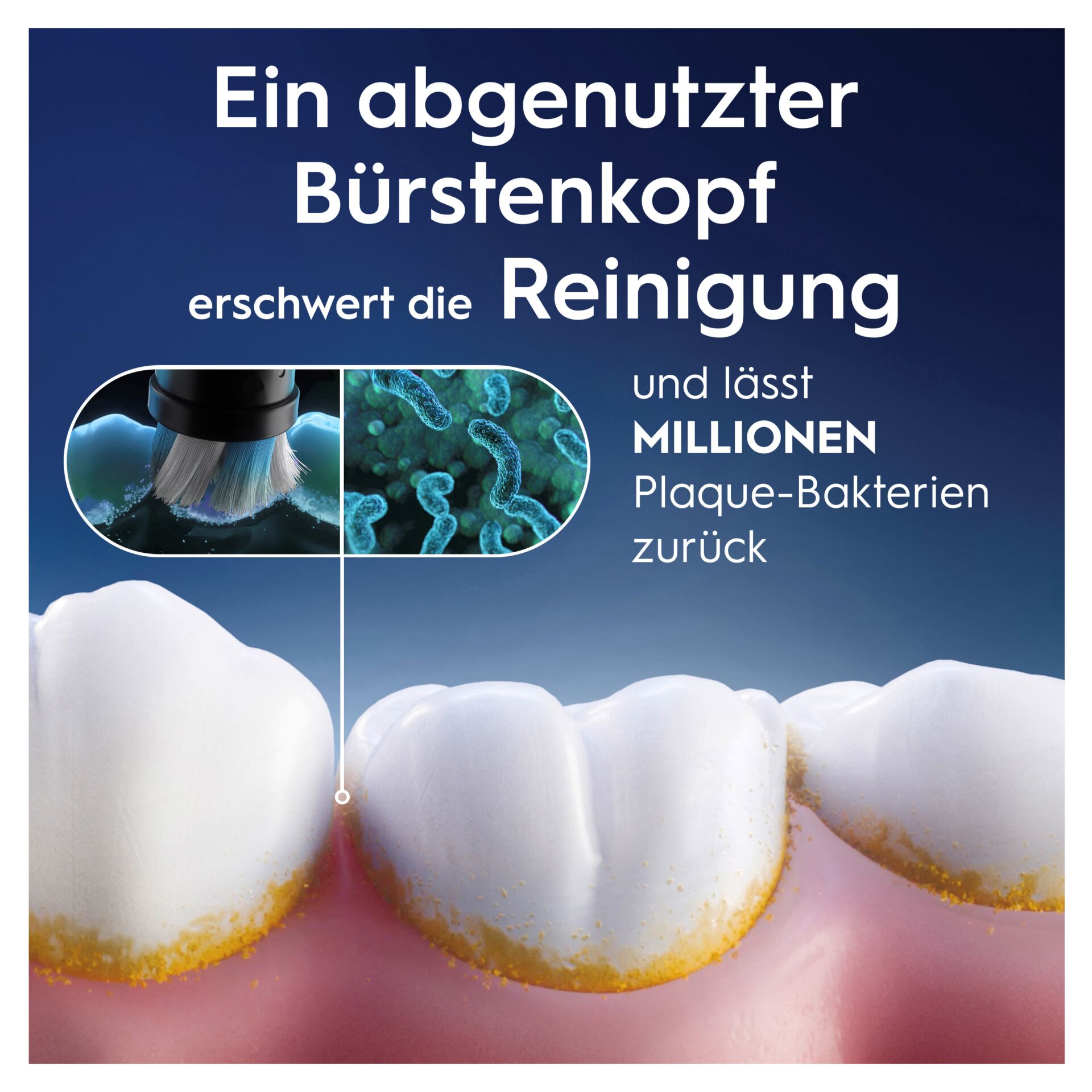 Werbung, Pinsel, Werkzeug, Zähne, Plakat