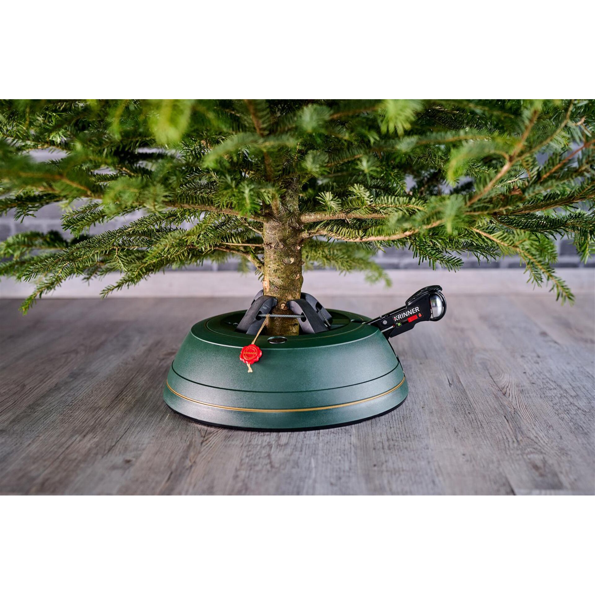 Pflanze, Baum, Kochpfanne, Kochgeschirr