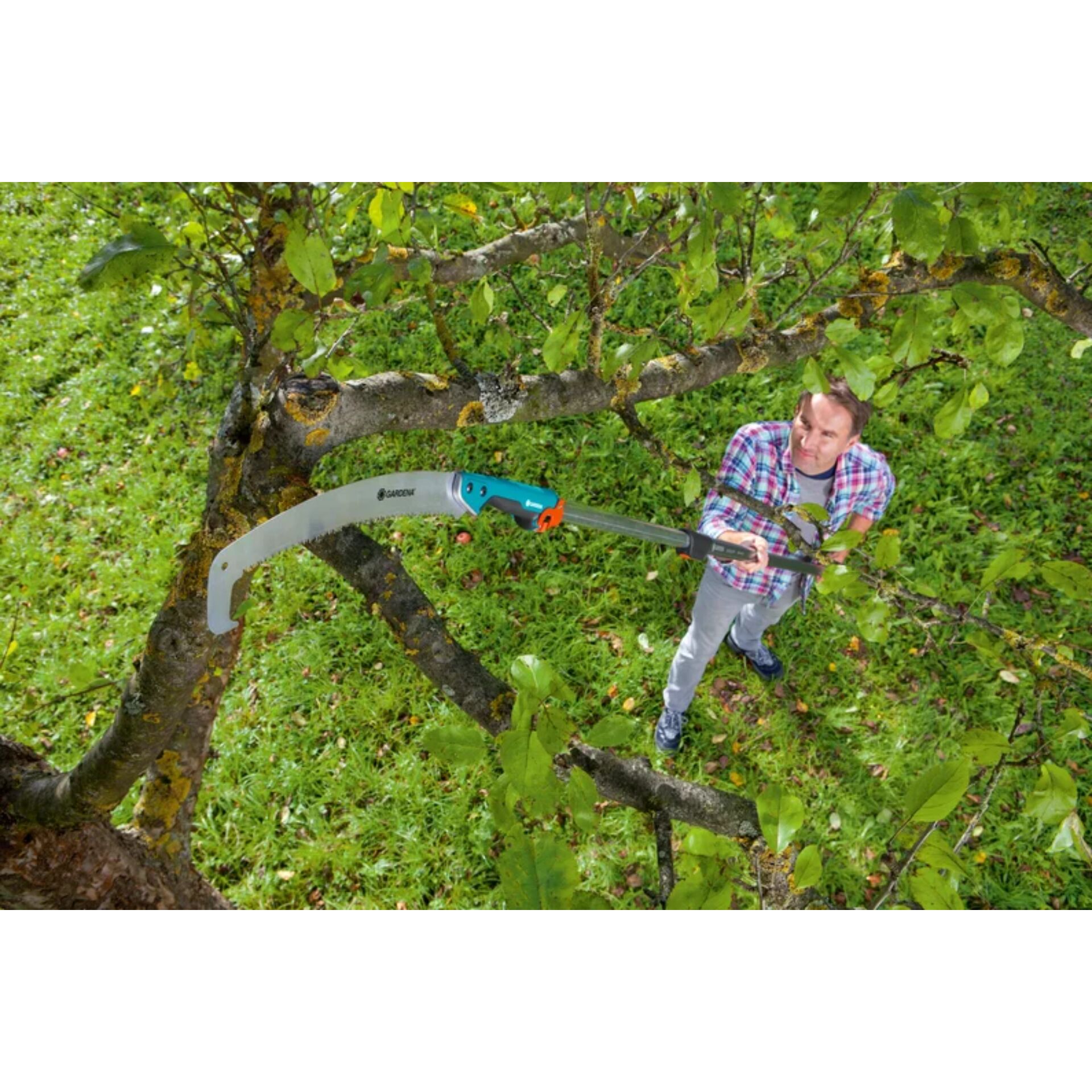 Gras, Junge, Männlich, Person, Jugendlich