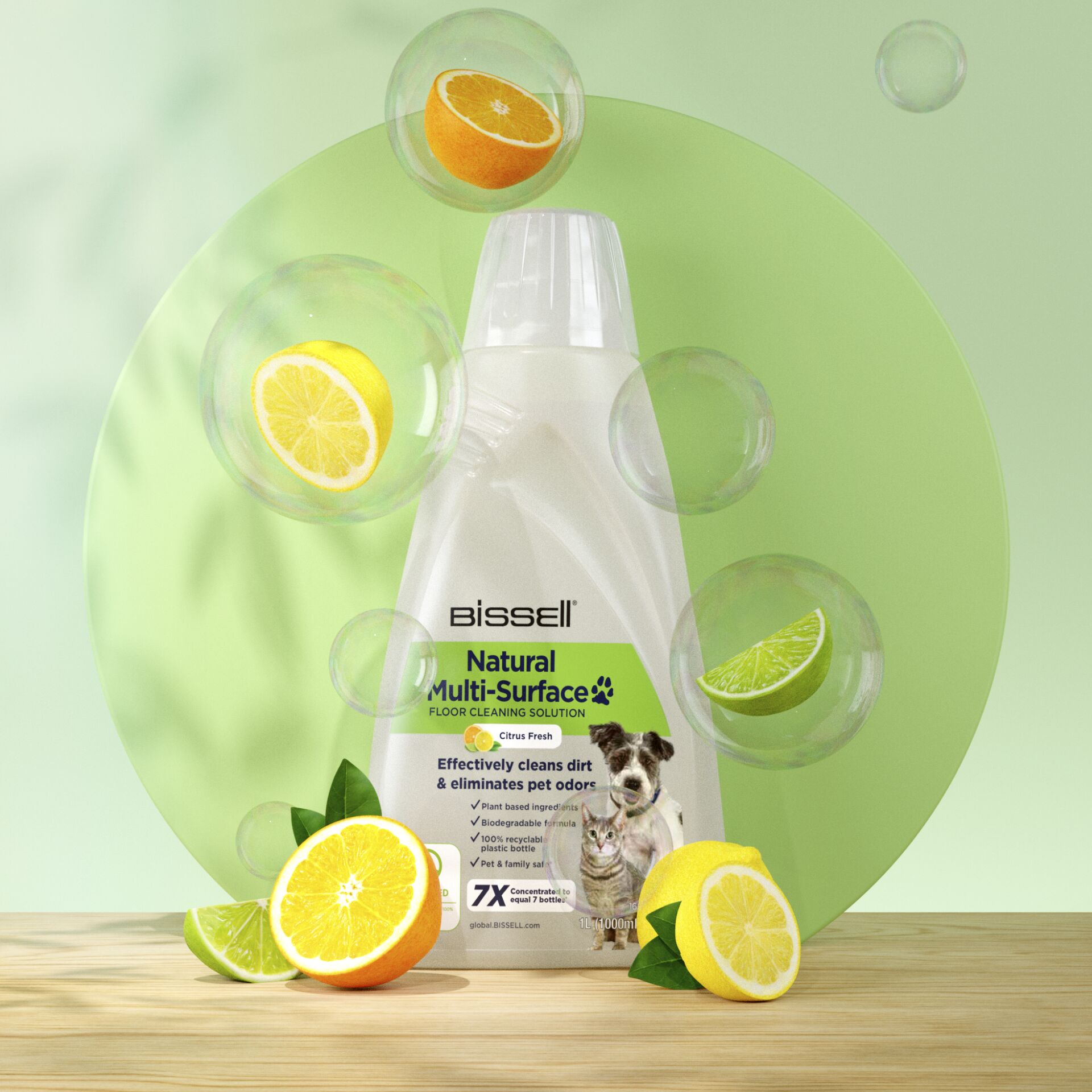 Zitrusfrucht, Obst, Produzieren, Limonade, Hund