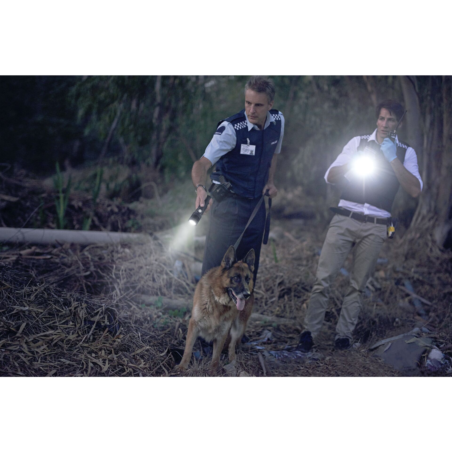 Handschuh, Hund, Erwachsener, Mann, Person