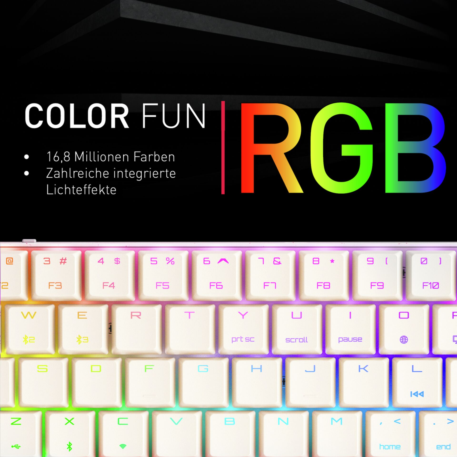 RGB, LED, Tastatur, Rainbow, Gaming