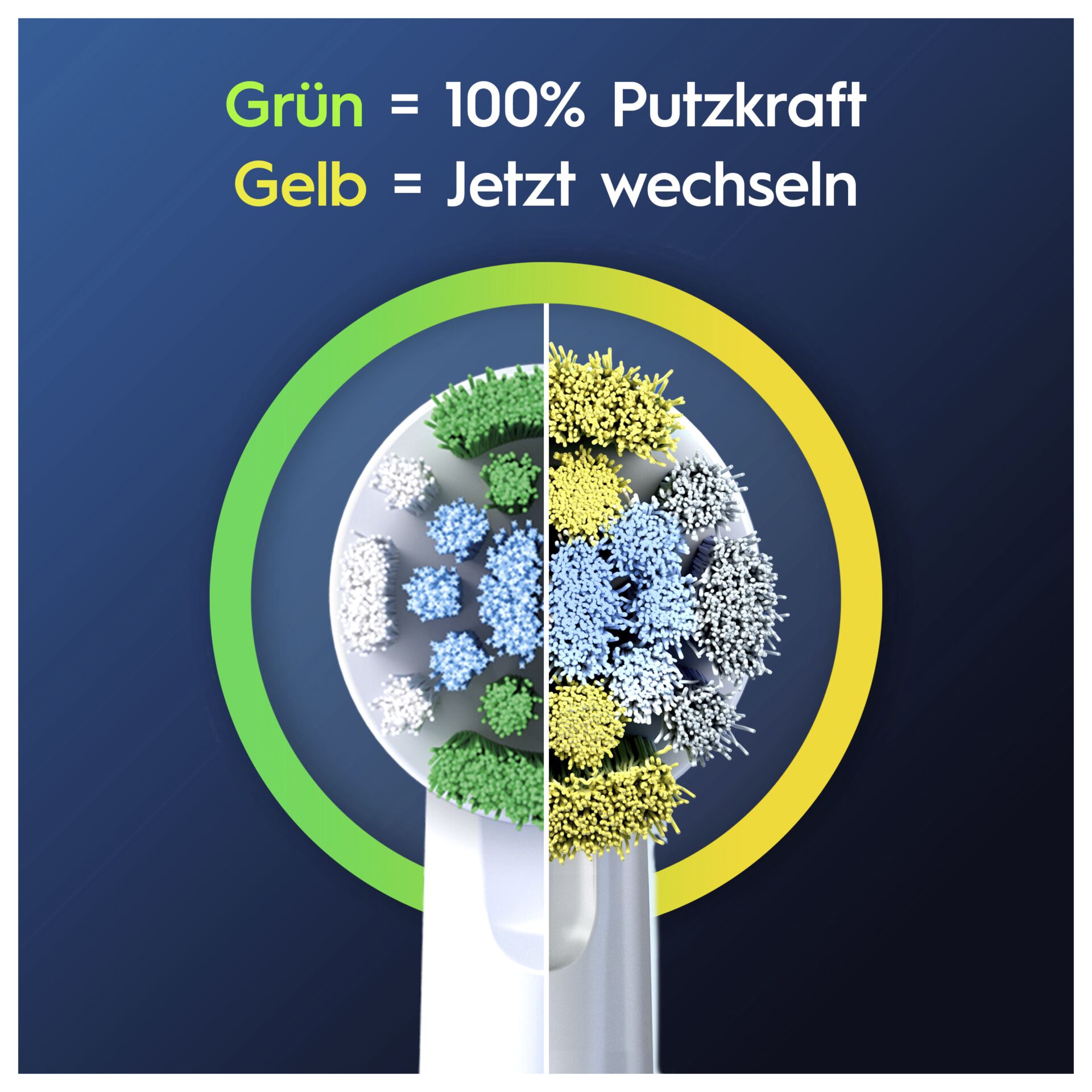 Grafiken, Florales Design, Muster, Werbung, Plakat