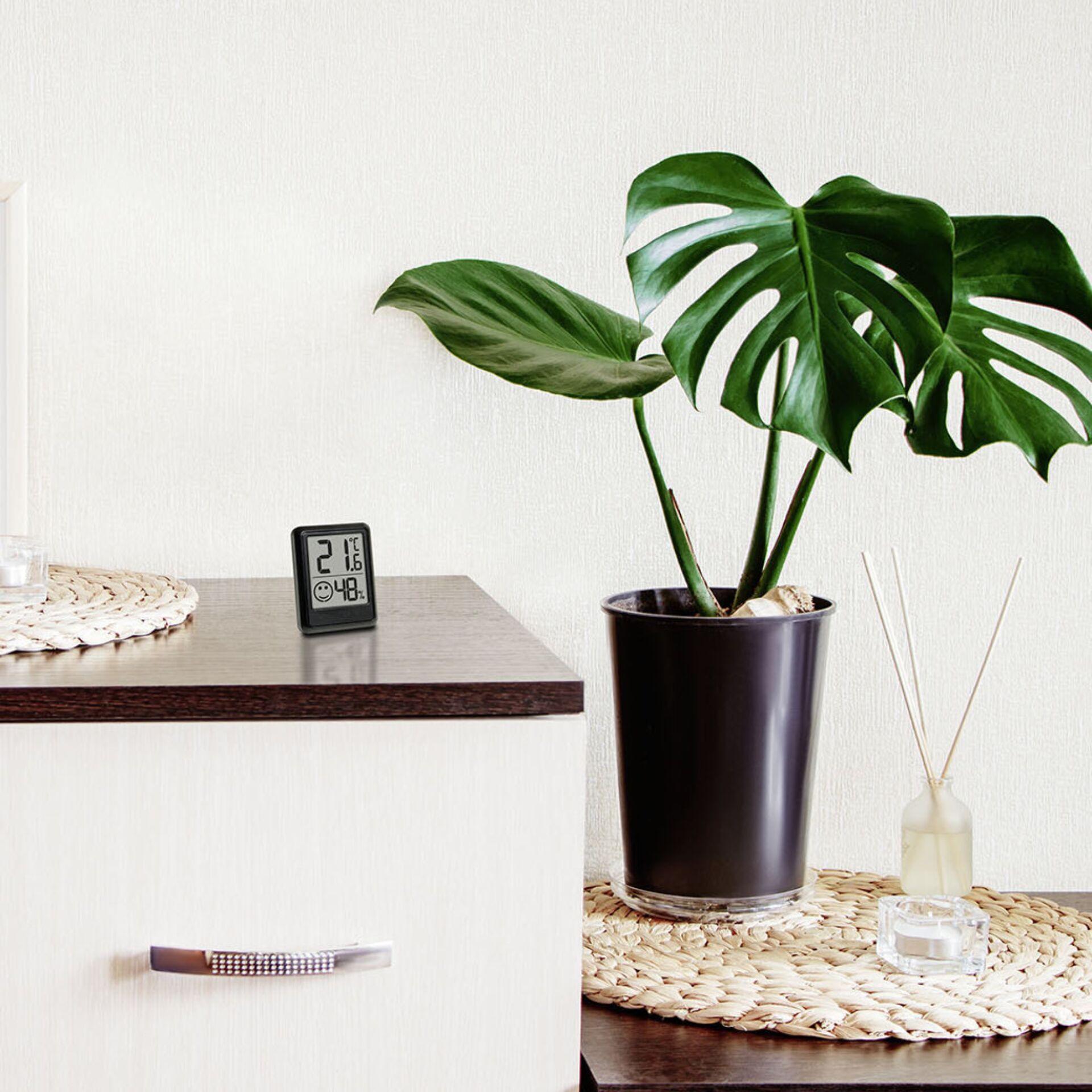 Pflanze, Pflanze im Topf, Blatt, Pflanzgefäß, Vase