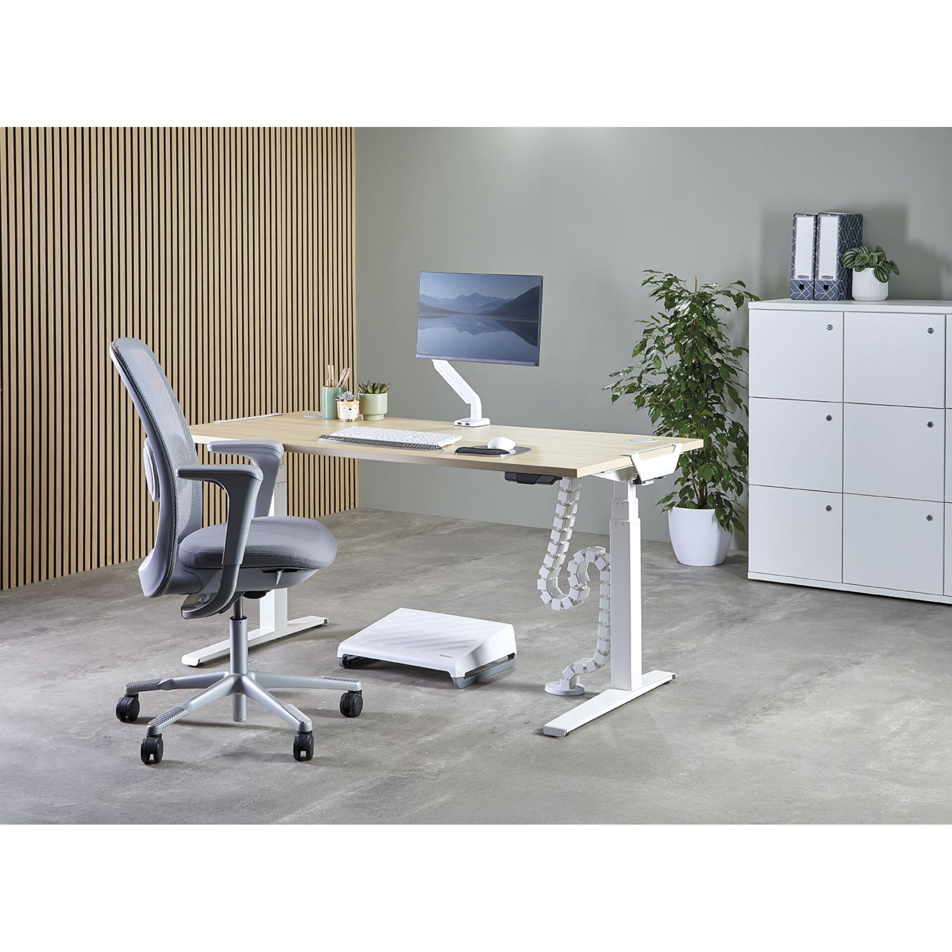 Moebel, Tabelle, Schreibtisch, Stuhl, Pflanze, Moebel, Tabelle, Schreibtisch, Stuhl, Pflanze, Moebel, Tabelle, Schreibtisch, Stuhl, Pflanze, Moebel, Tabelle, Schreibtisch, Stuhl, Pflanze, Moebel, Tabelle, Schreibtisch, Stuhl, Pflanze