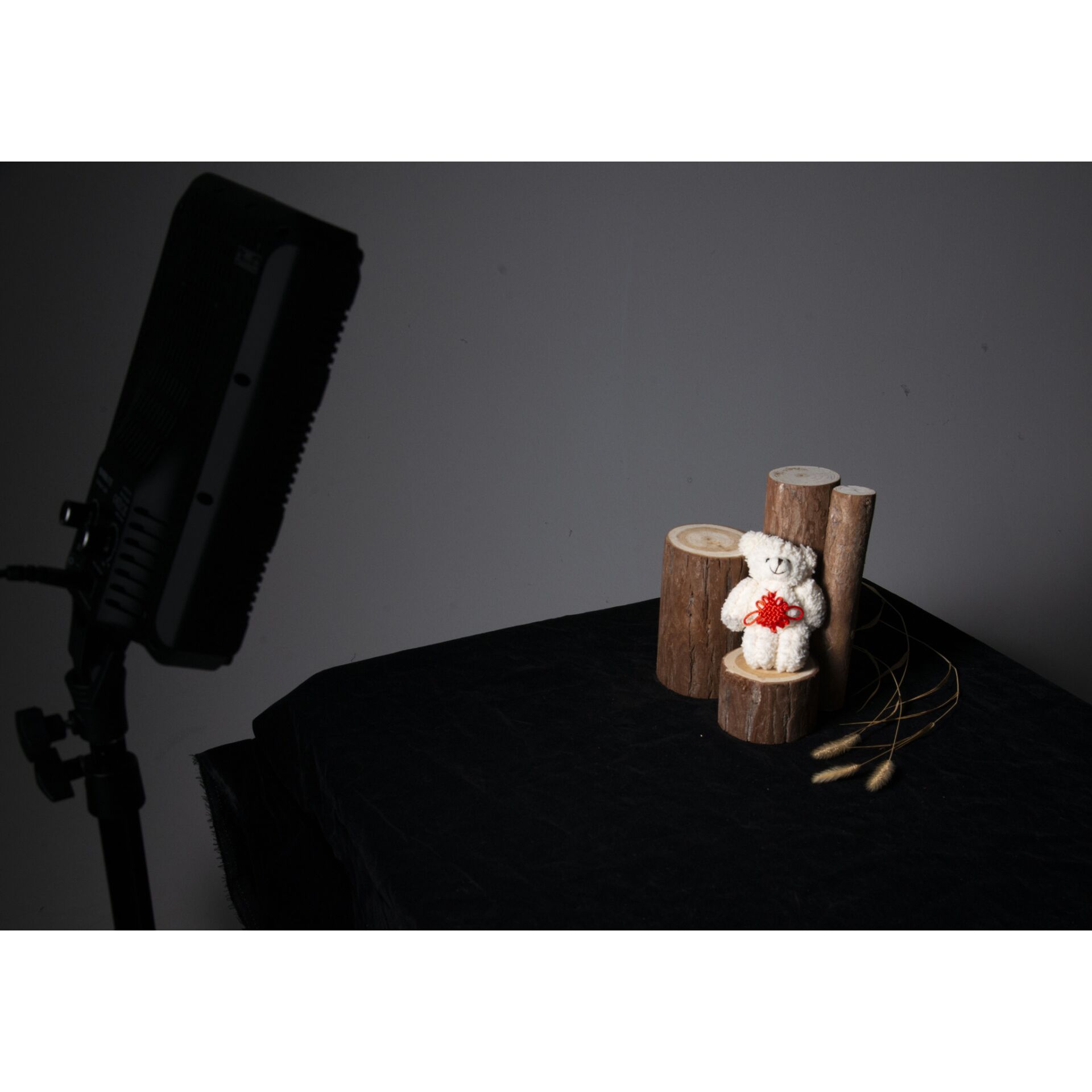 Elektrisches Gerät, Mikrophon, Pflanze, Baum