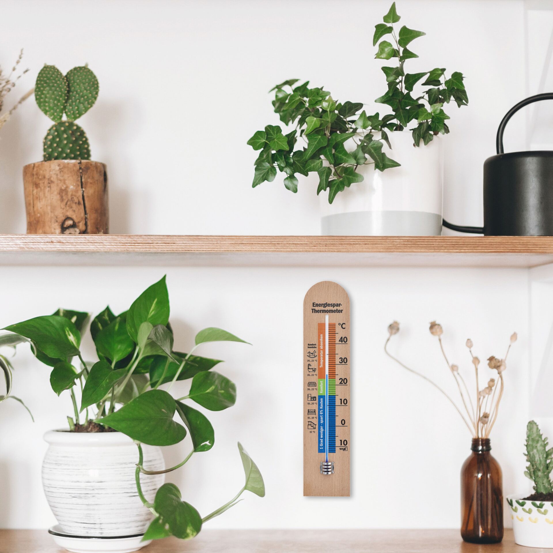 Pflanze, Pflanze im Topf