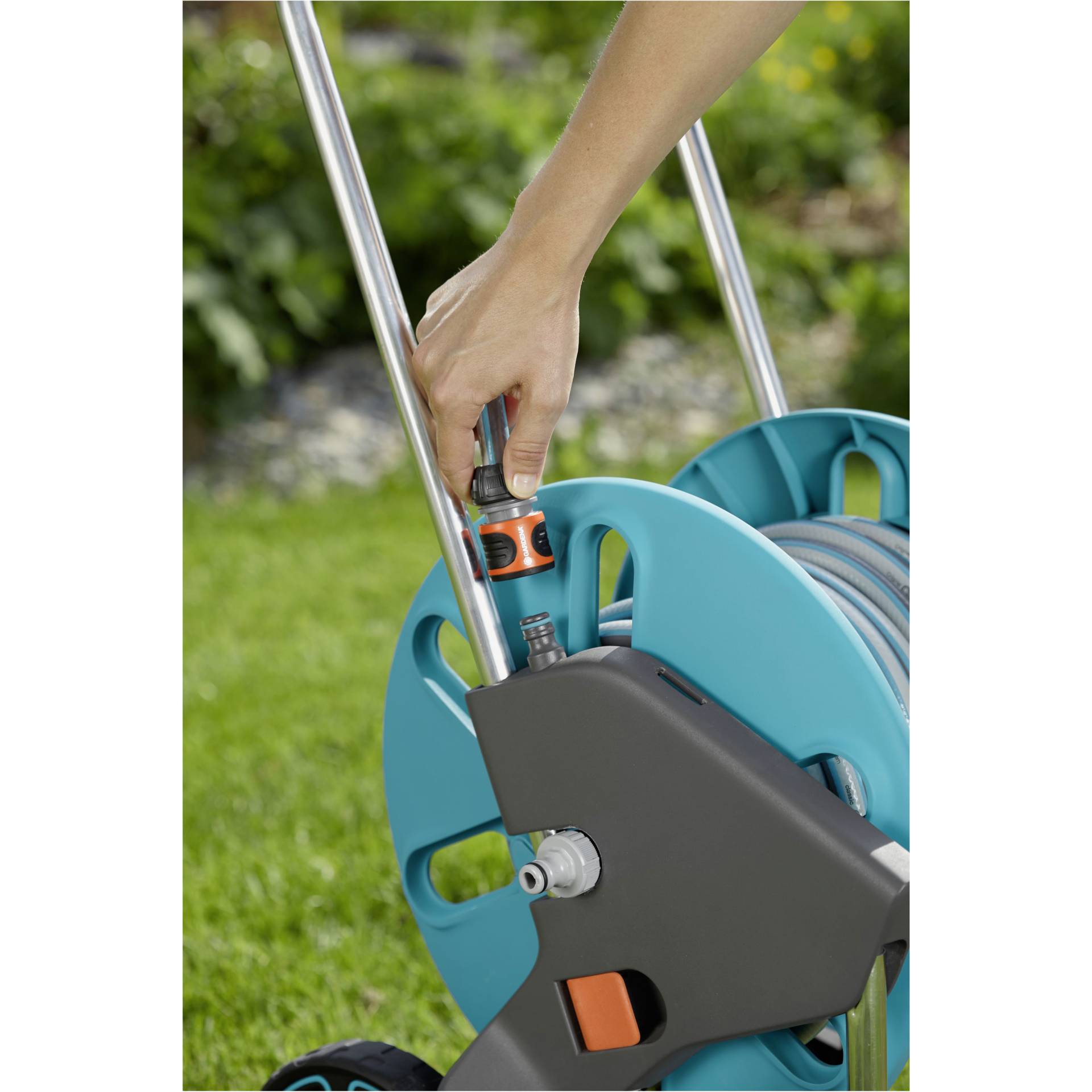 Gras, Pflanze, Rasen