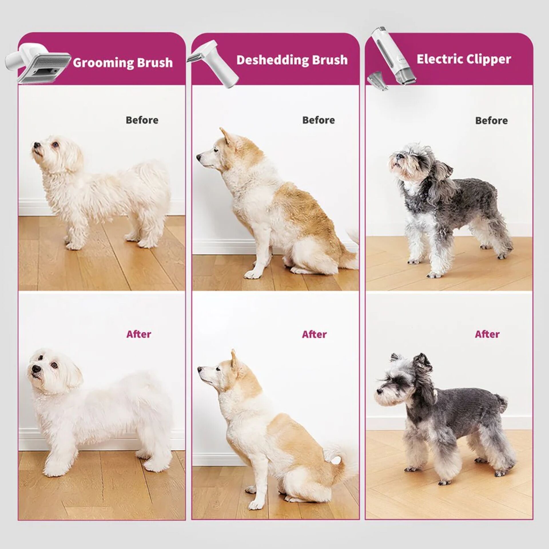 Tier, Hund, Säugetier, Haustier