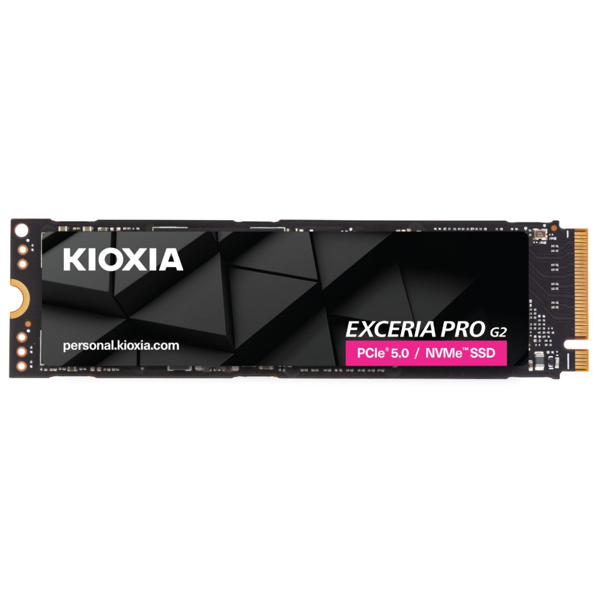 KIOXIA EXCERIA PRO G2        1TB  M.2 2280 PCIe 5.0   LVE10Z1T02G8