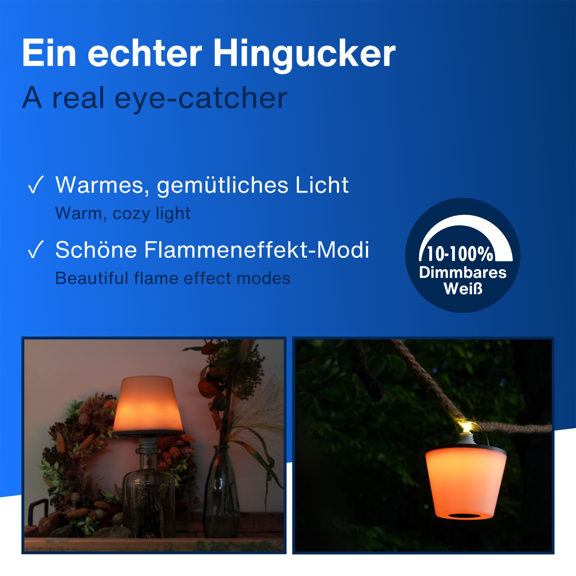 Lampe, Beleuchtung, Pflanze