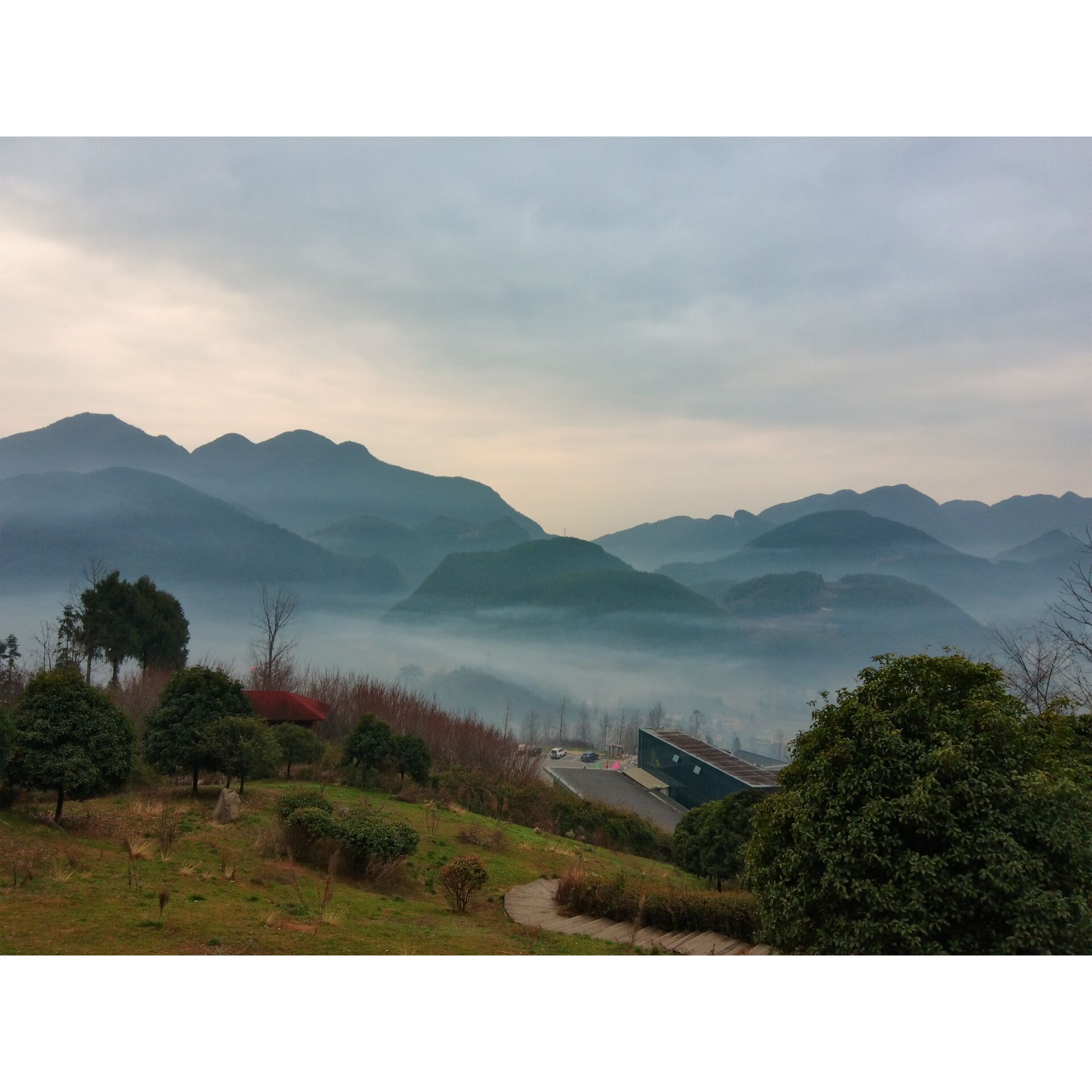 Berg, Nebel, Landschaft, Hügel, Bäume