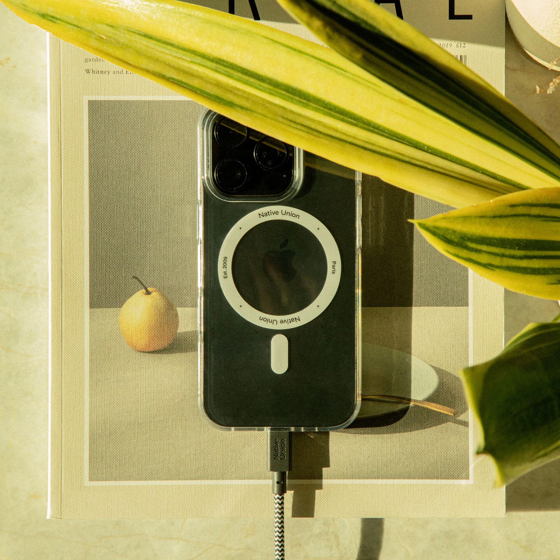 Apple, Obst, Pflanze, Produzieren, Elektronik