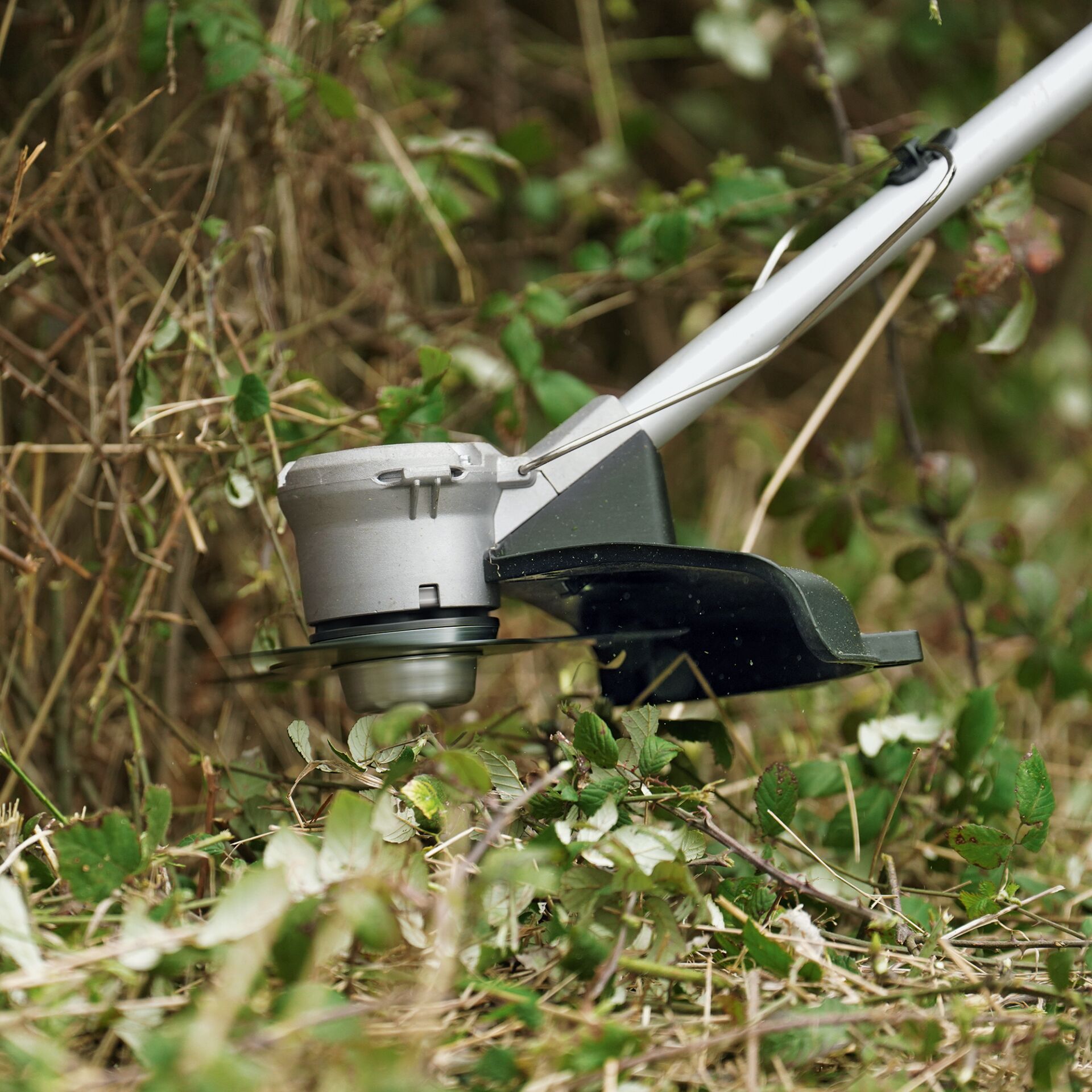 Gras, Pflanze, Rasen, Wasser, Gerät