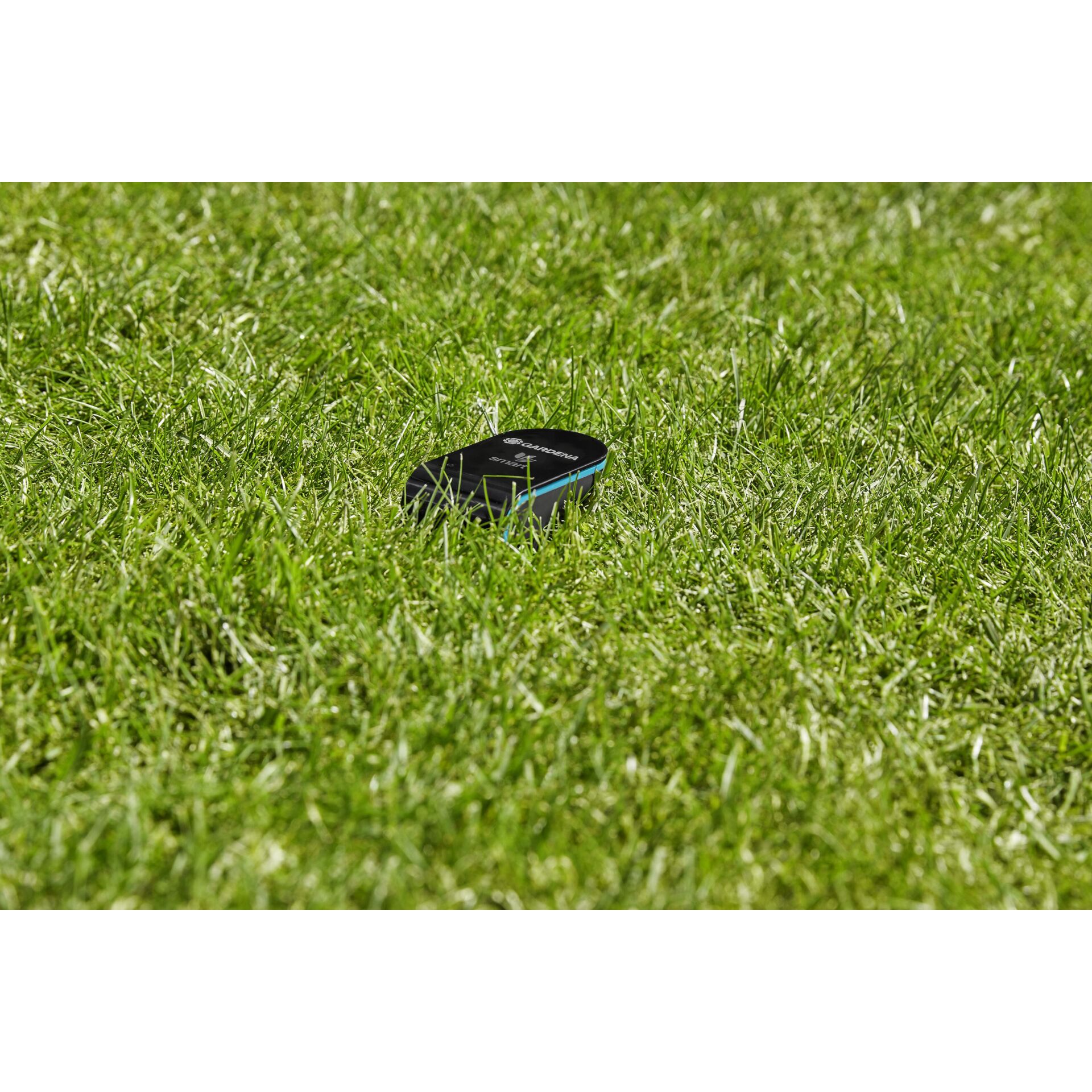 Gras, Pflanze, Rasen, Handy, Telefon