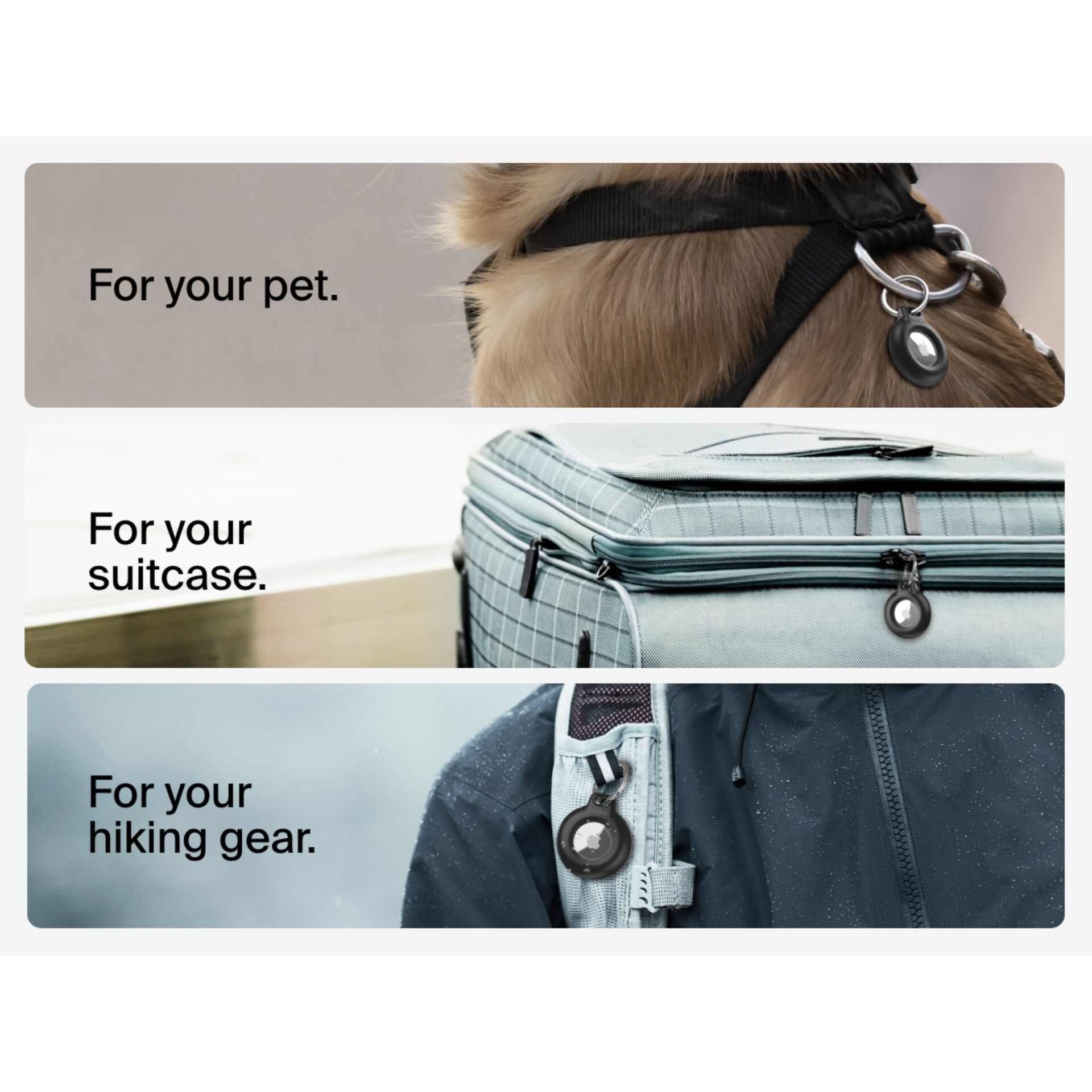 Zubehor, Handtasche, Erwachsener, Mann, Person