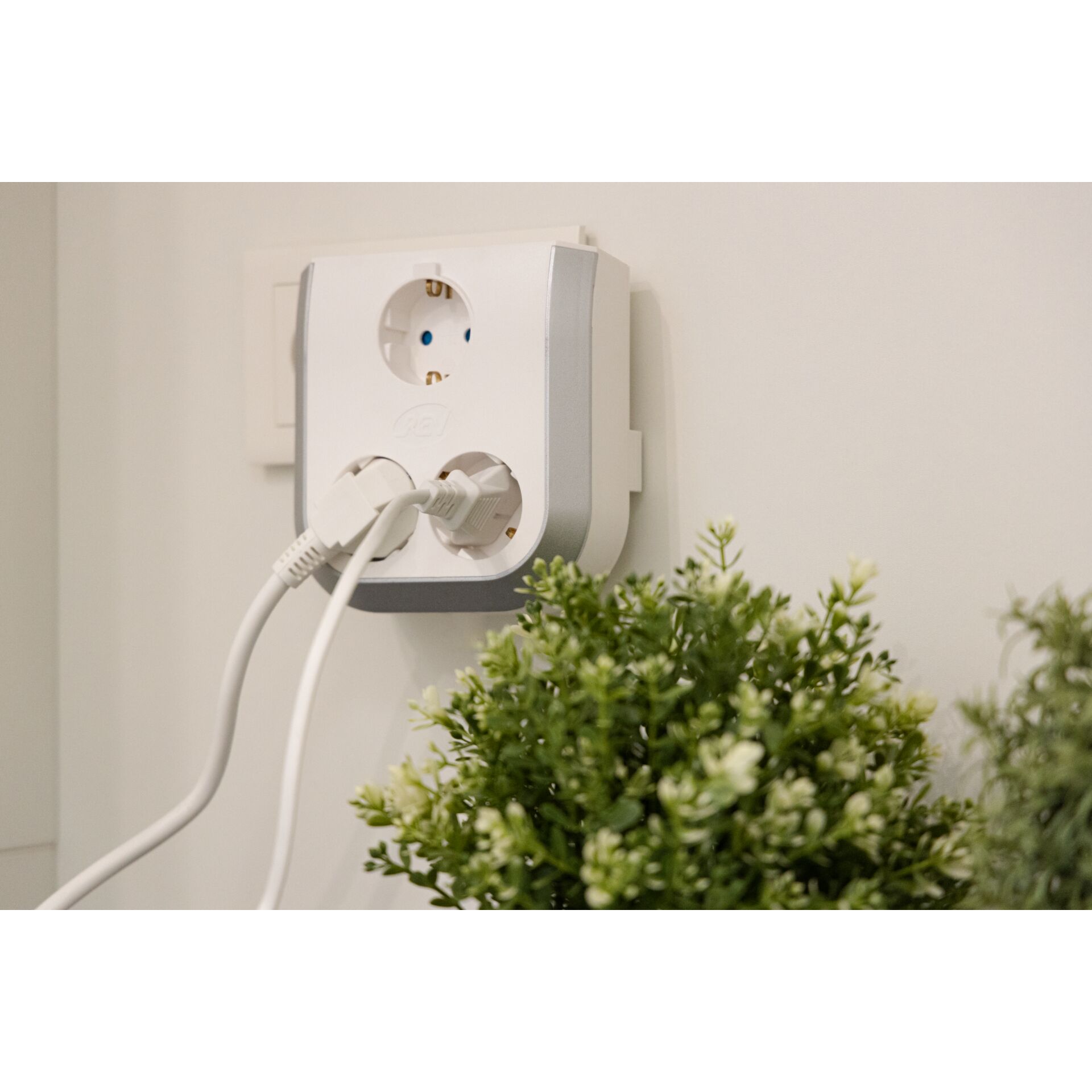 Adapter, Elektronik, Elektrisches Gerät, Elektrische Steckdose, Pflanze