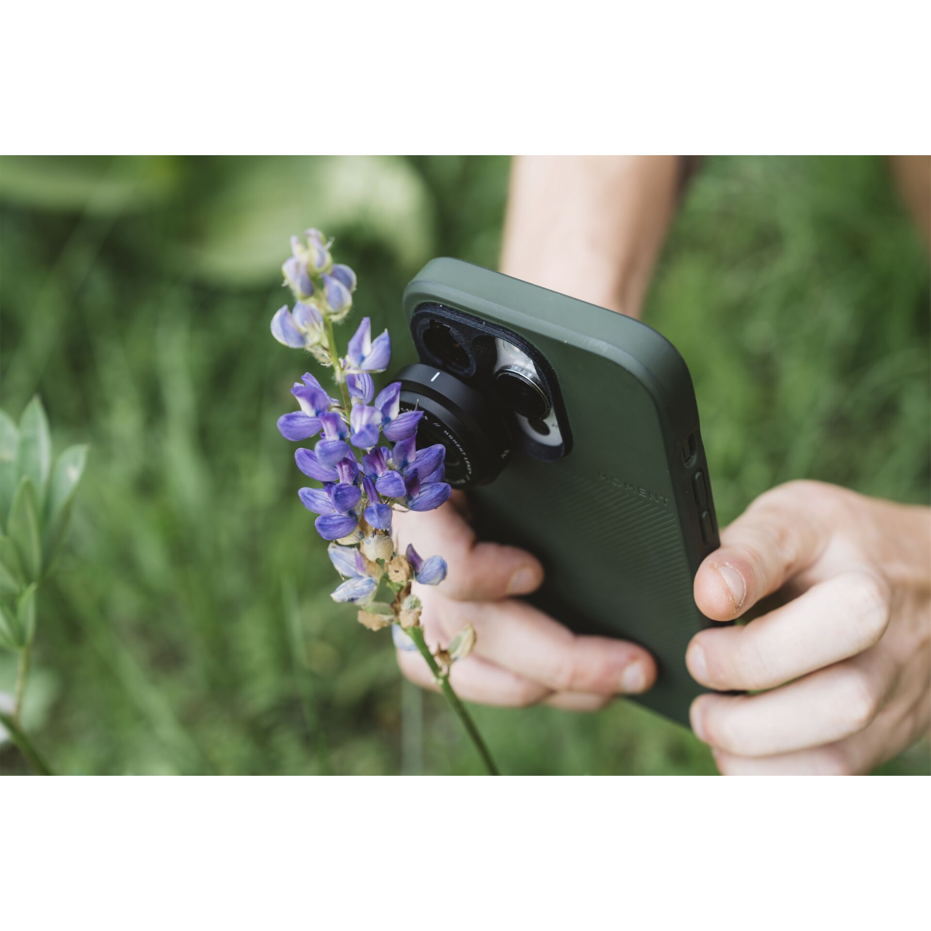 Photographie, Elektronik, Telefon, Handy, Blume