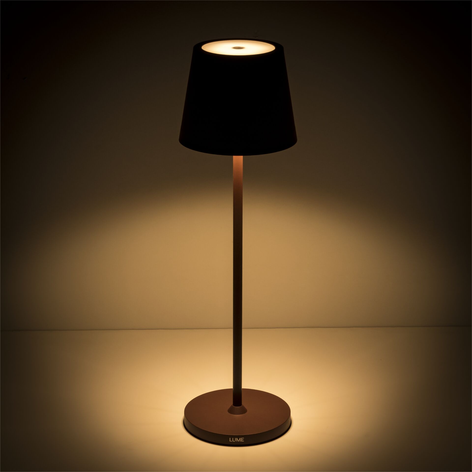 Lampe, Lampenschirm