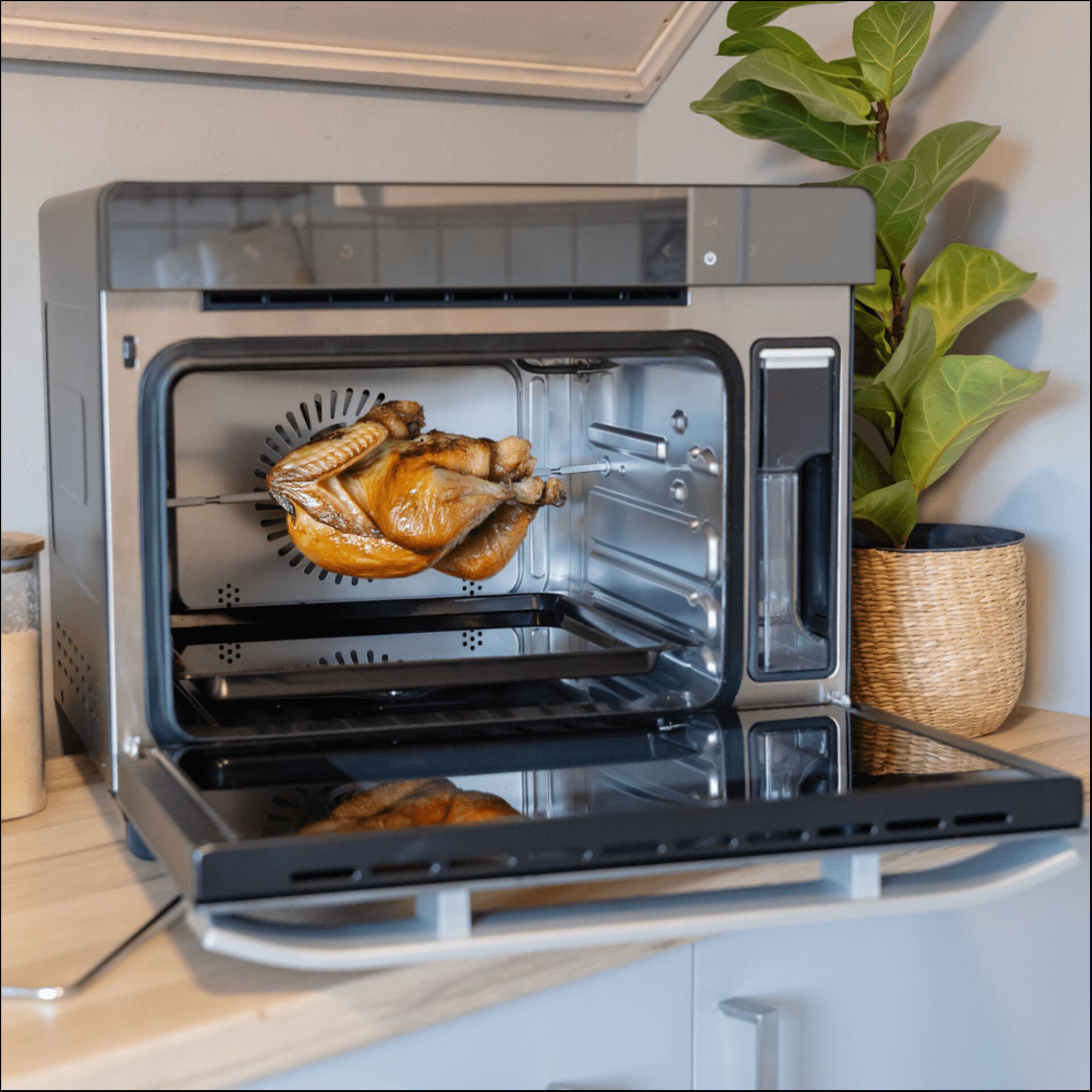 Gerät, Elektrisches Gerät, Kochen, Pflanze