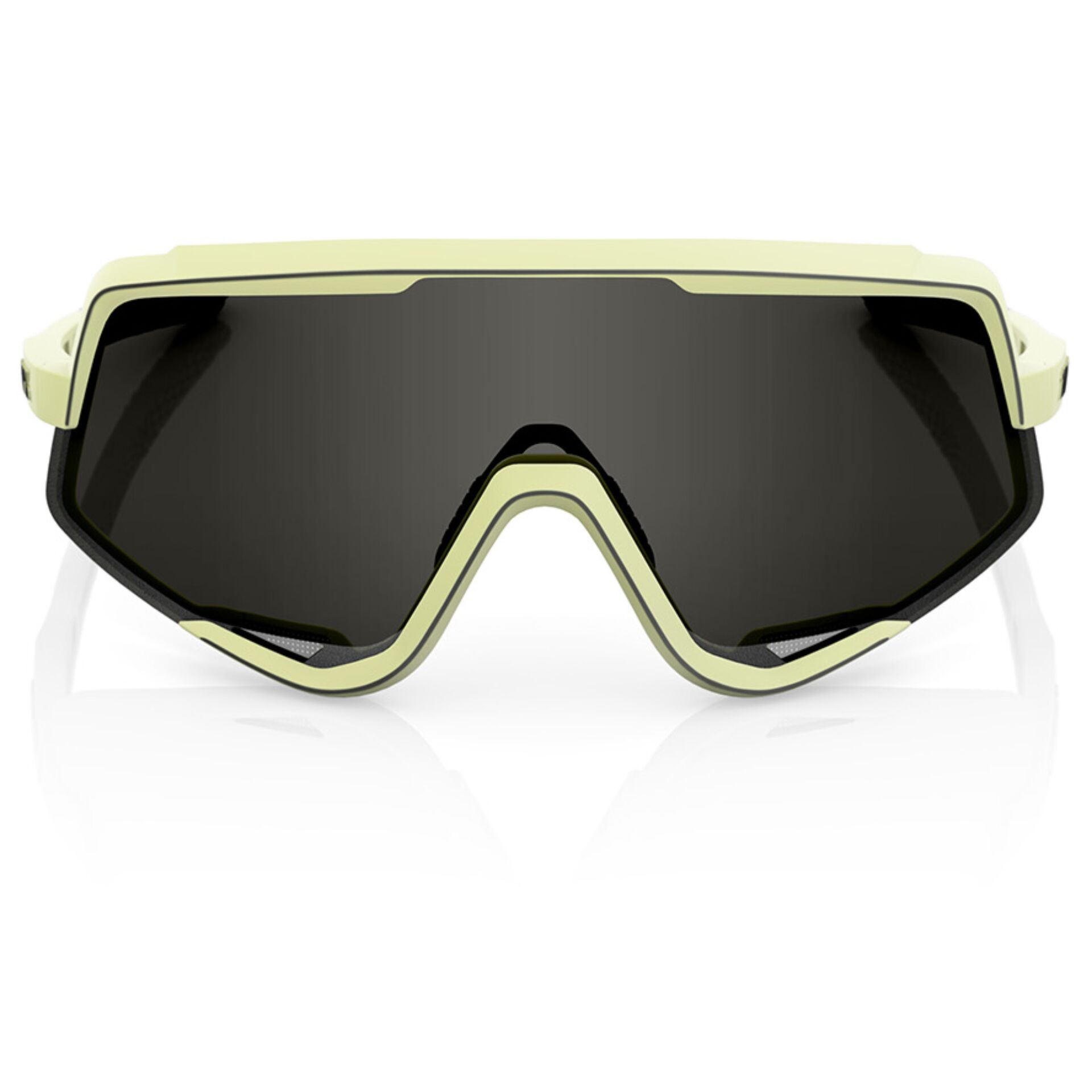 goggles, ski goggles, getönte Gläser, Schaumstoffpolsterung, verstellbares Band