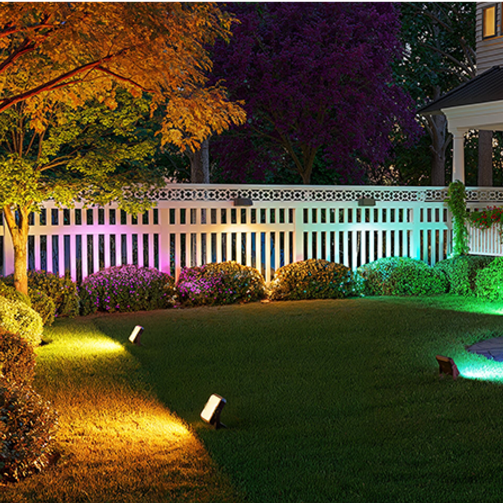 Natur, Draußen, Hof, Hinterhof, Zaun