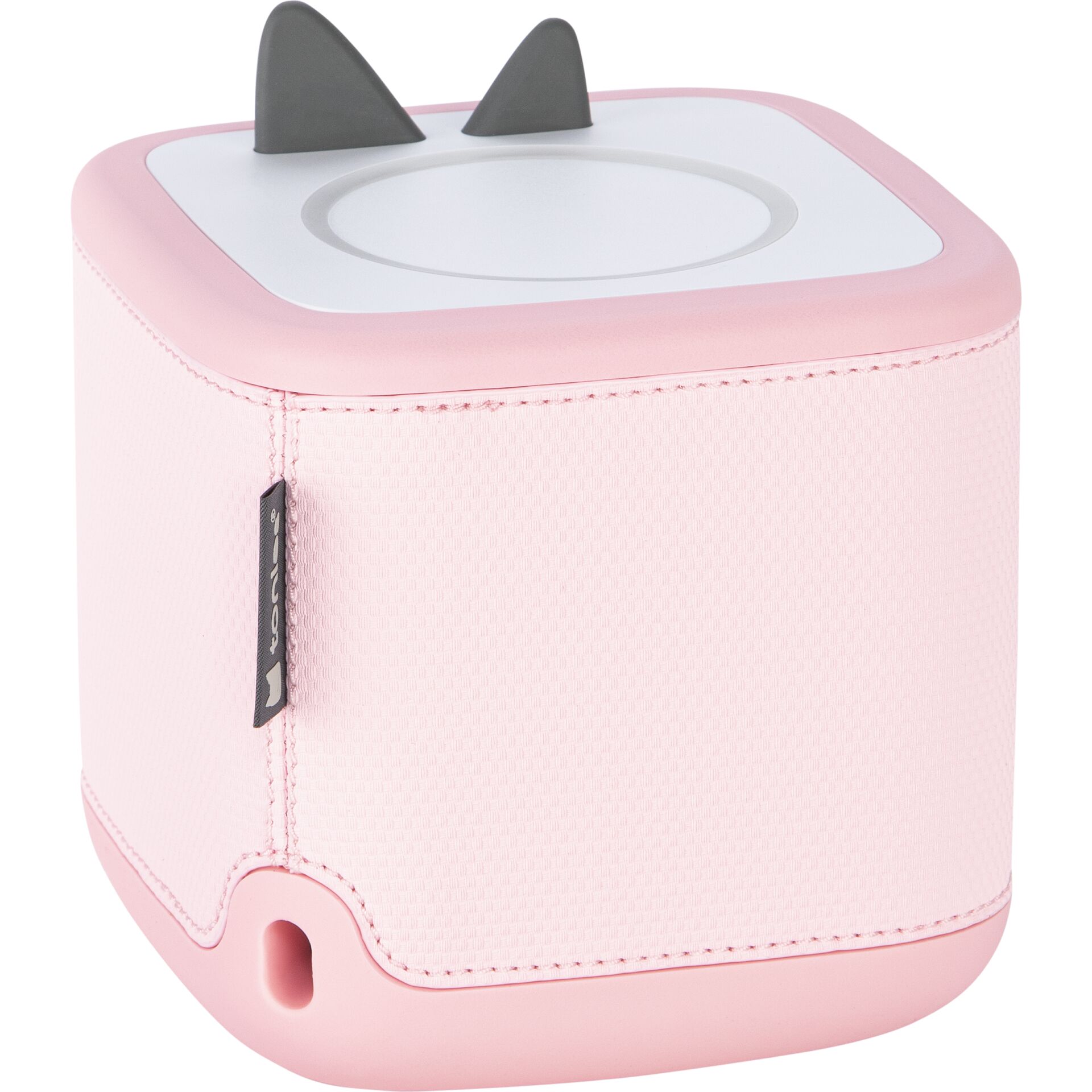 Elektronik, Sprecher