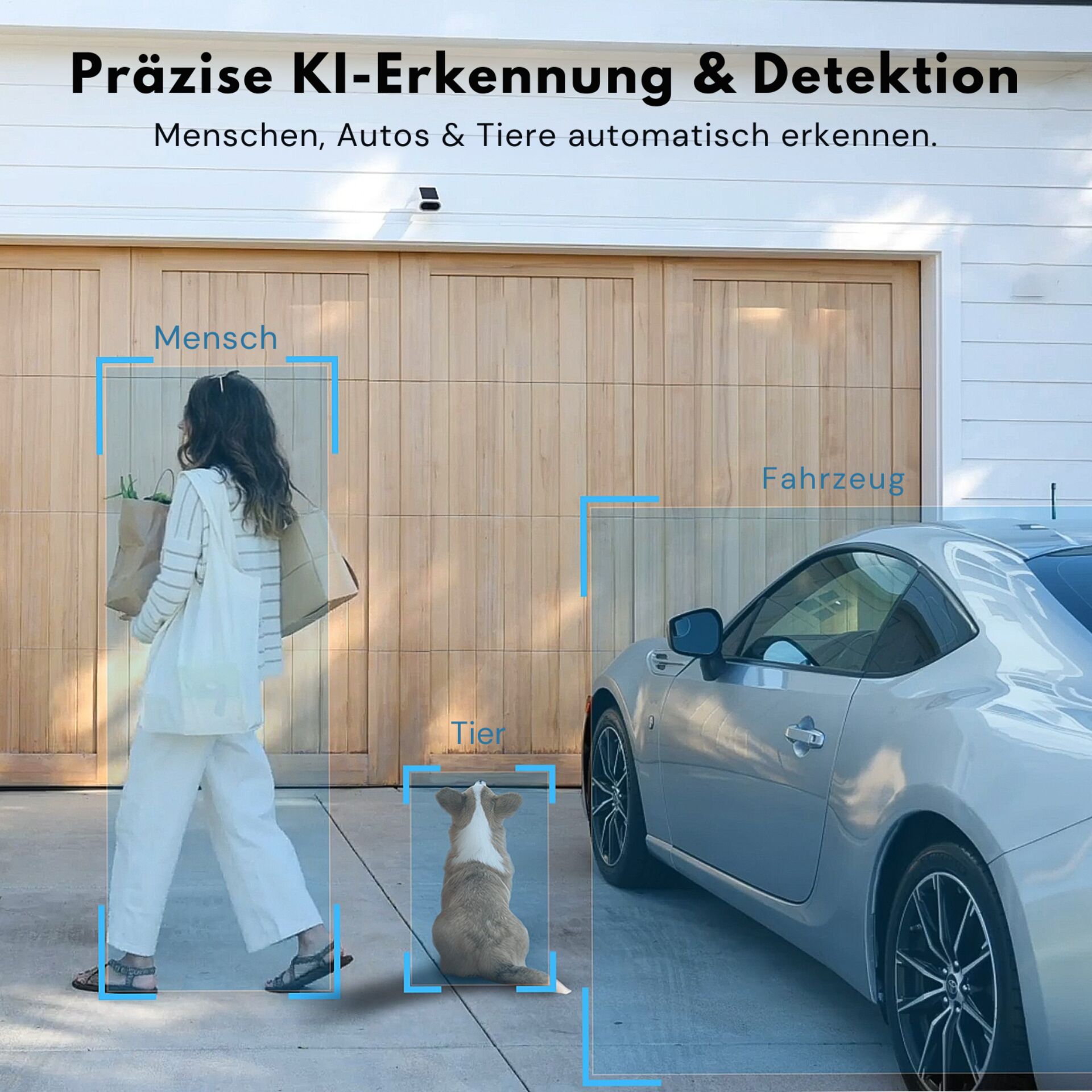 Person, Frau, Auto, Hund, Einkaufstaschen