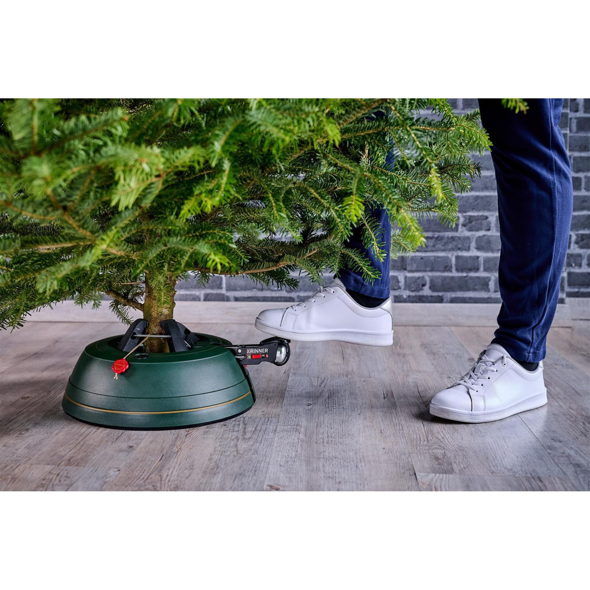 Schuh, Topfpflanze, Turnschuh, Baum, Innenarchitektur