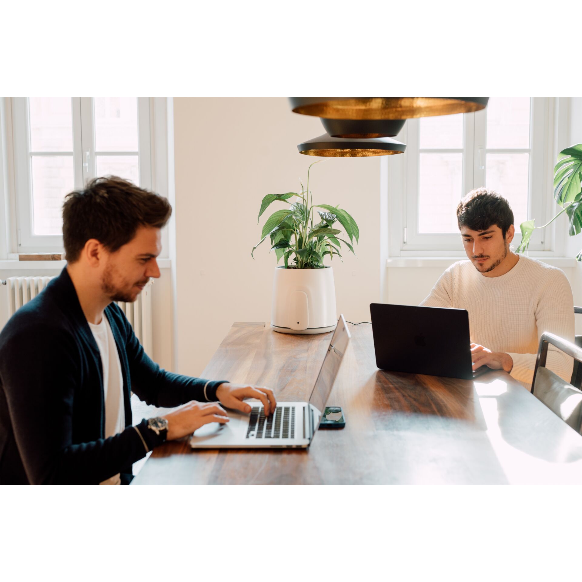 Tabelle, Erwachsener, Männlich, Mann, Person