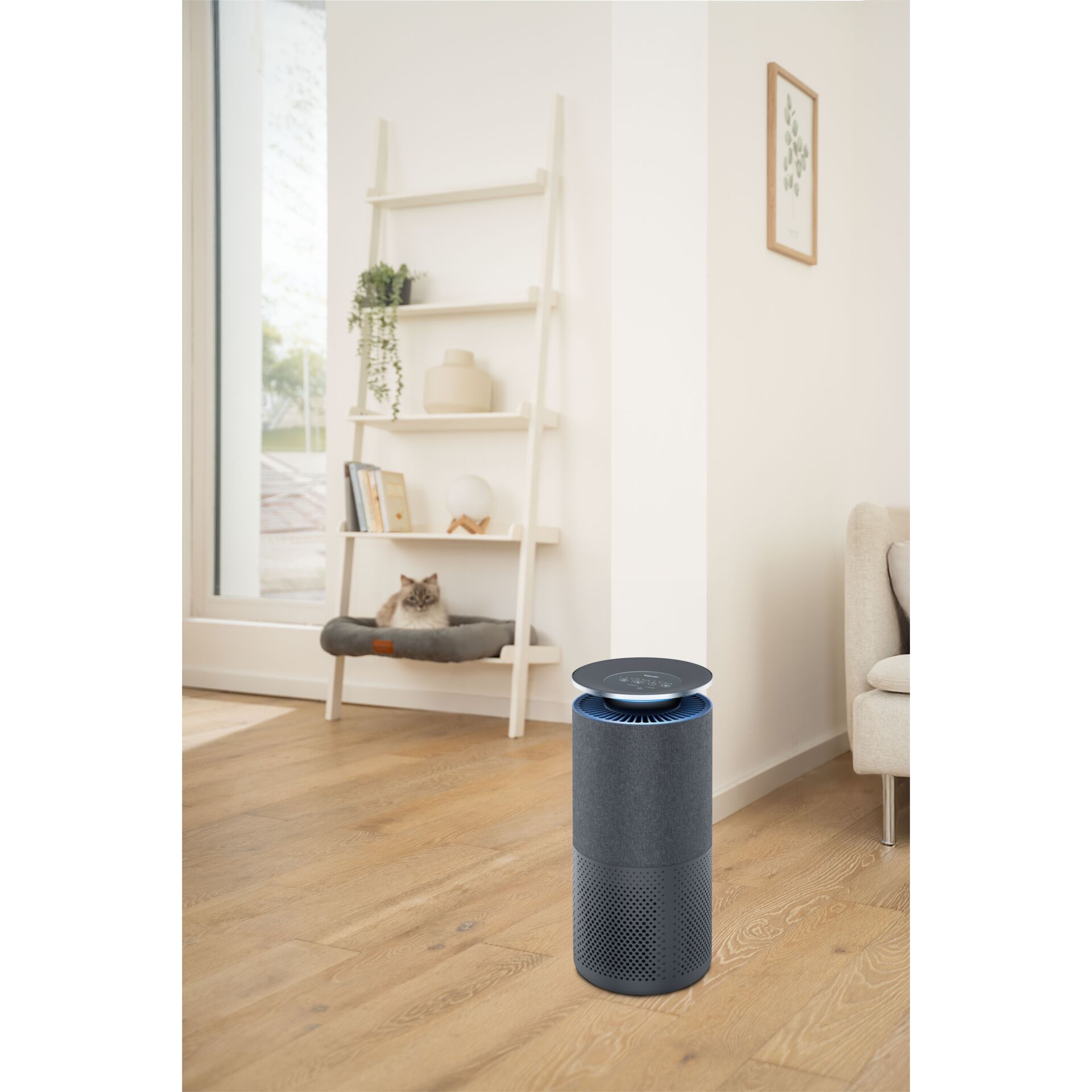 Luftreiniger, Luftbefeuchter, Haushaltsgerät, Raumluftreiniger, Küsten?