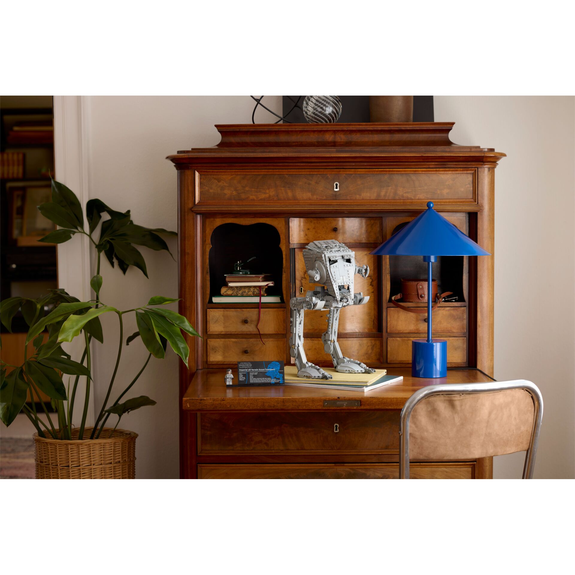 Innenarchitektur, Kabinett, Mobiliar, Anrichte, Pflanze im Topf