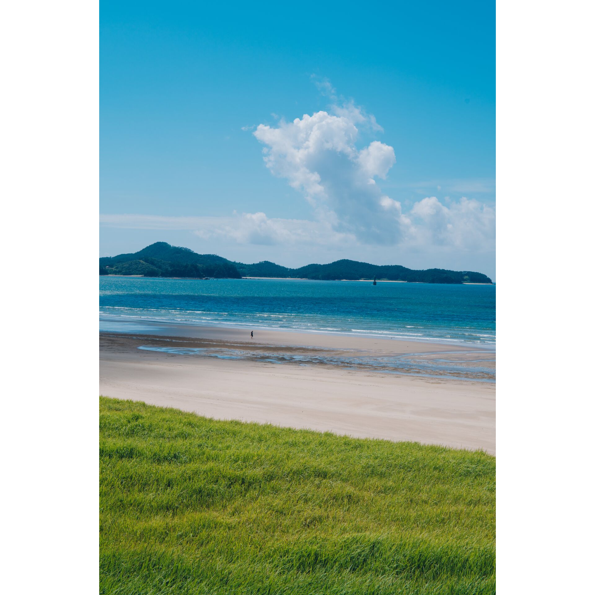 Land, Meer, Szenerie, Strand, Gras