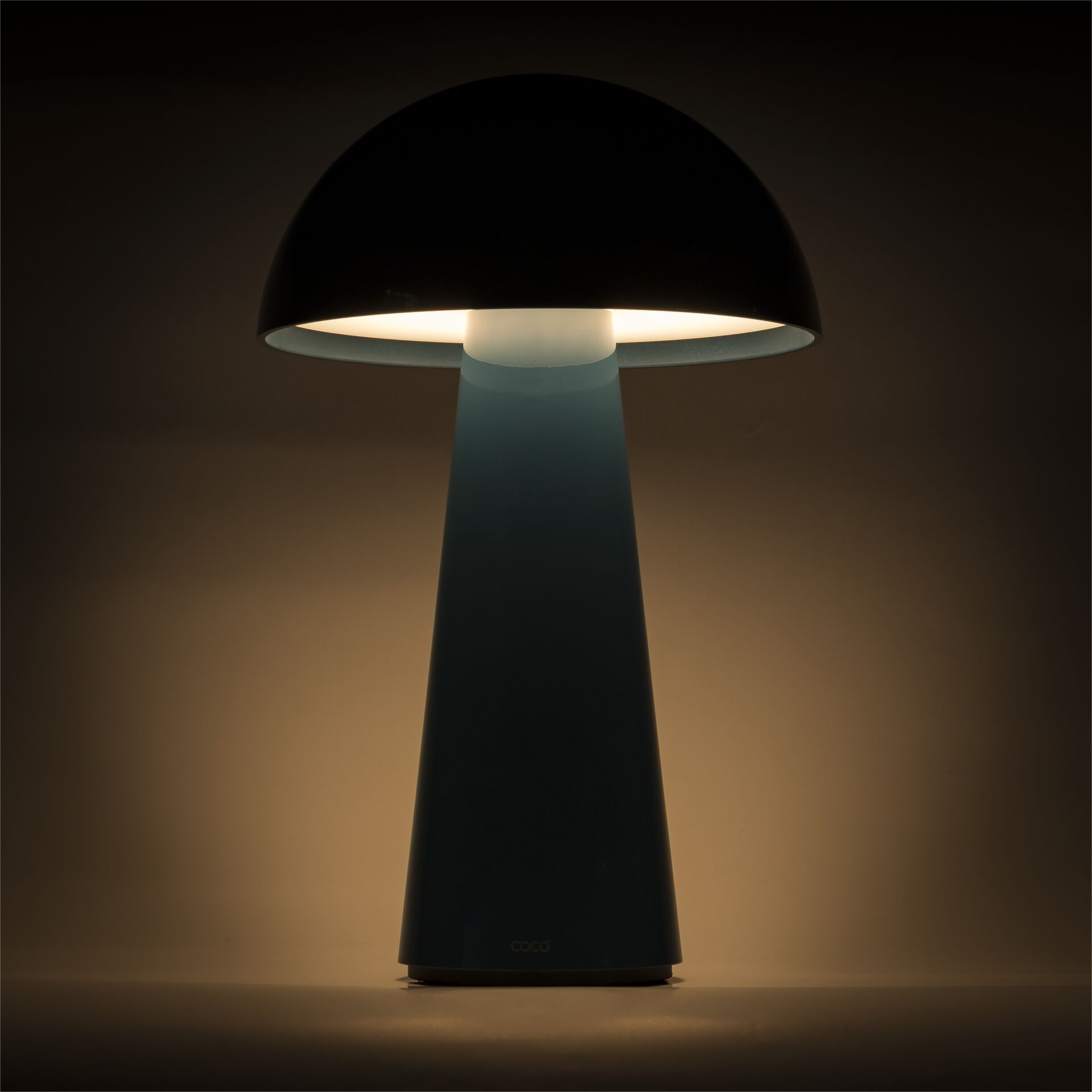 Lampe, Lampenschirm