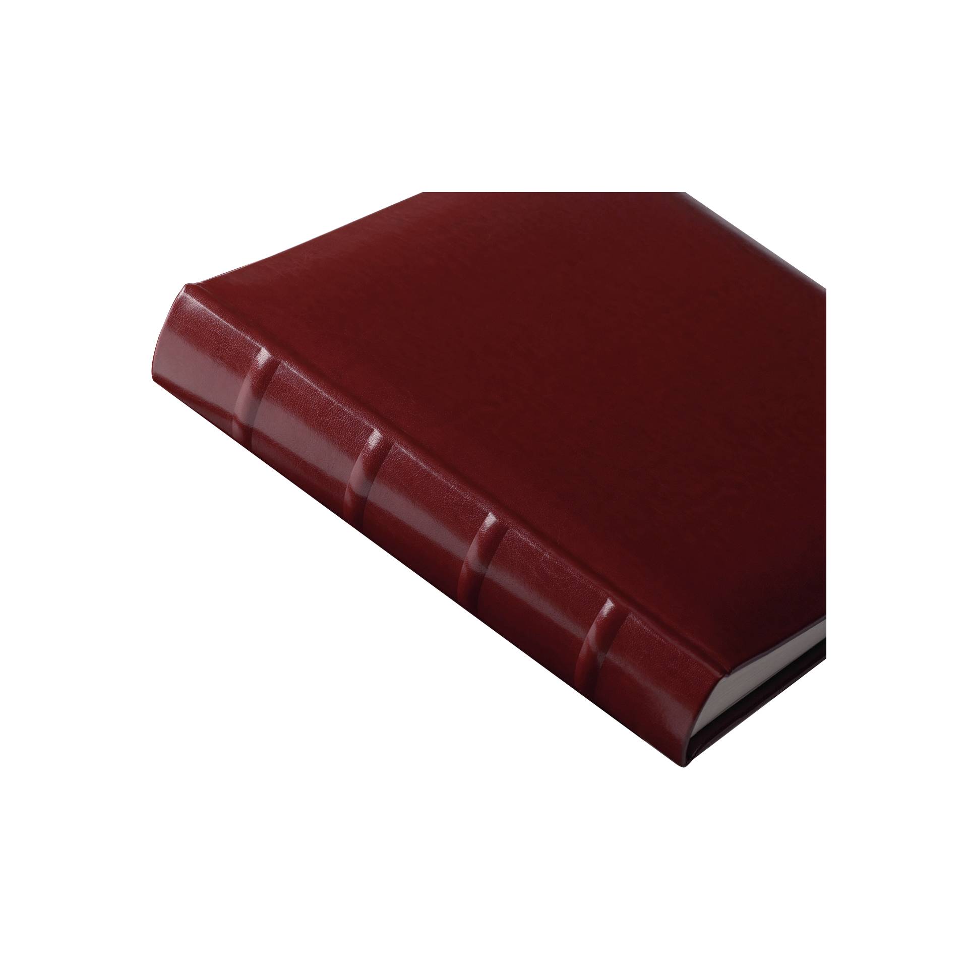 Buch, Veröffentlichung