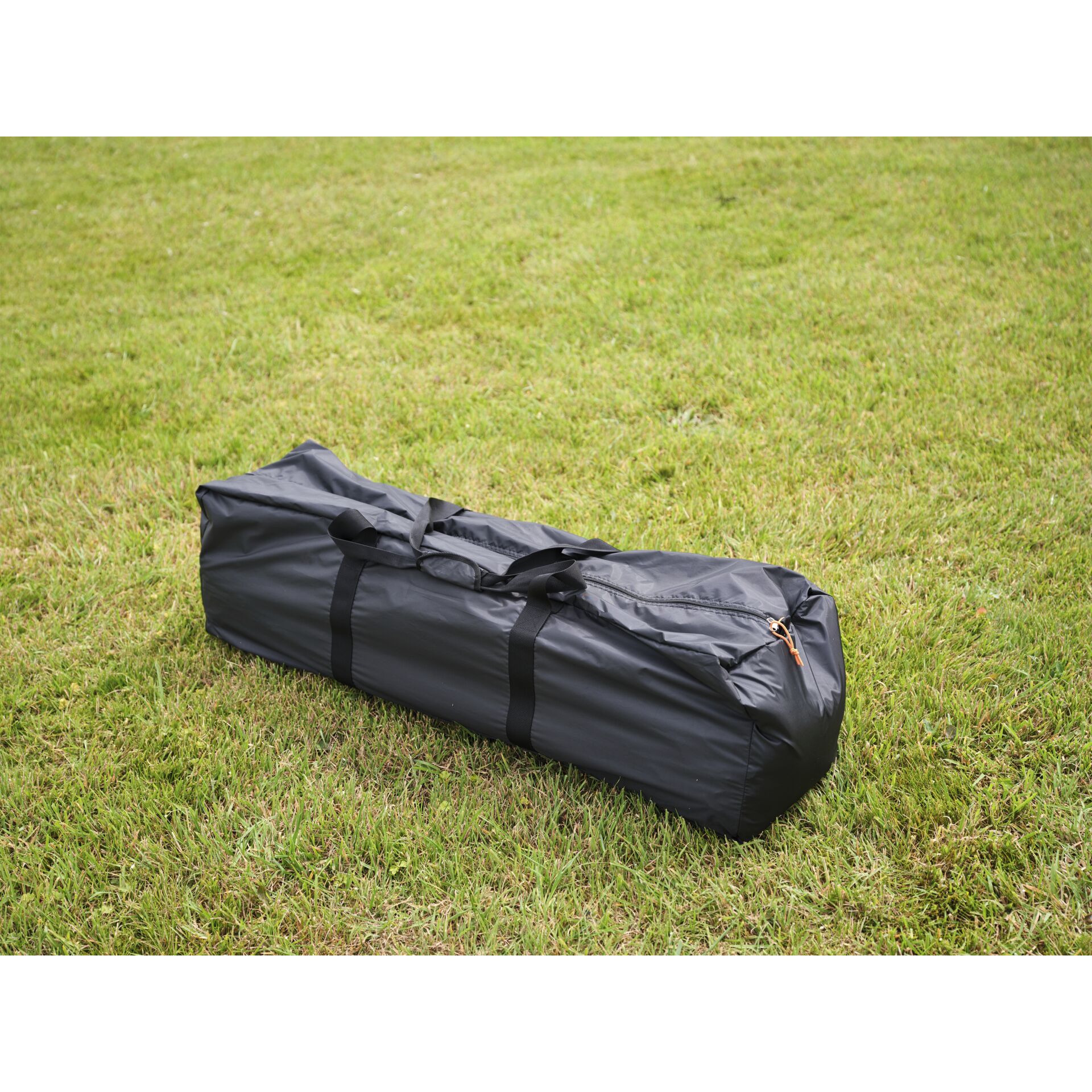 Gepäck, Gras, Pflanze